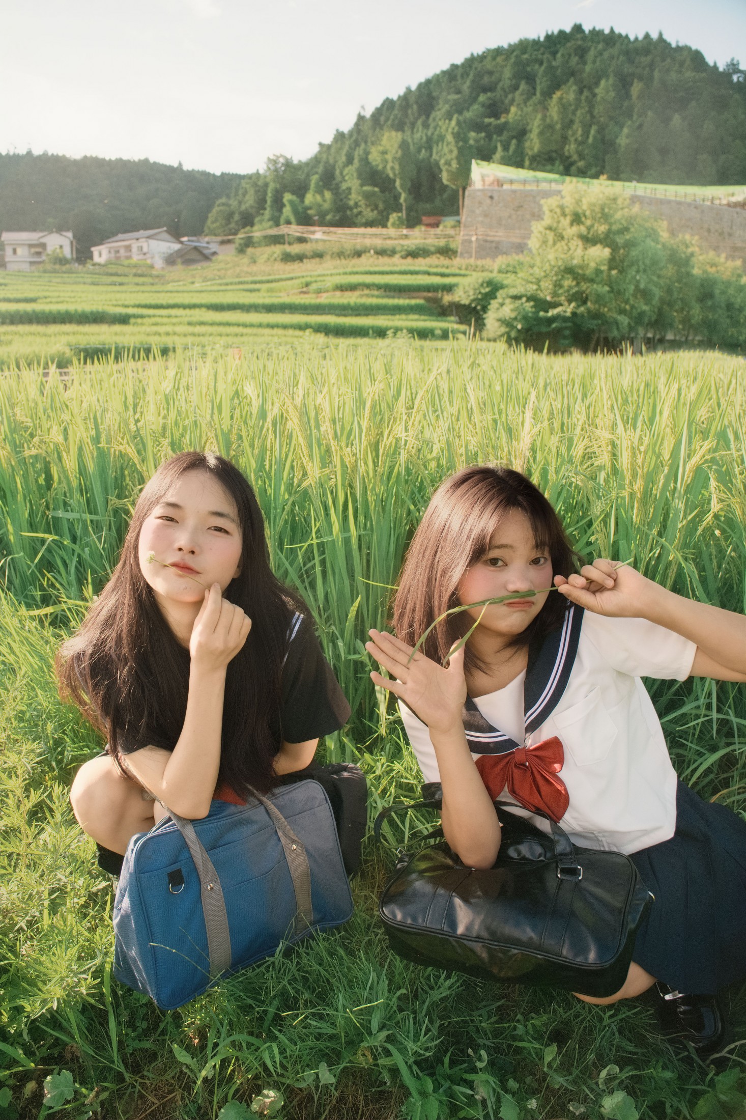 十一～ 幸运汤圆 – 《稻香》[40P]