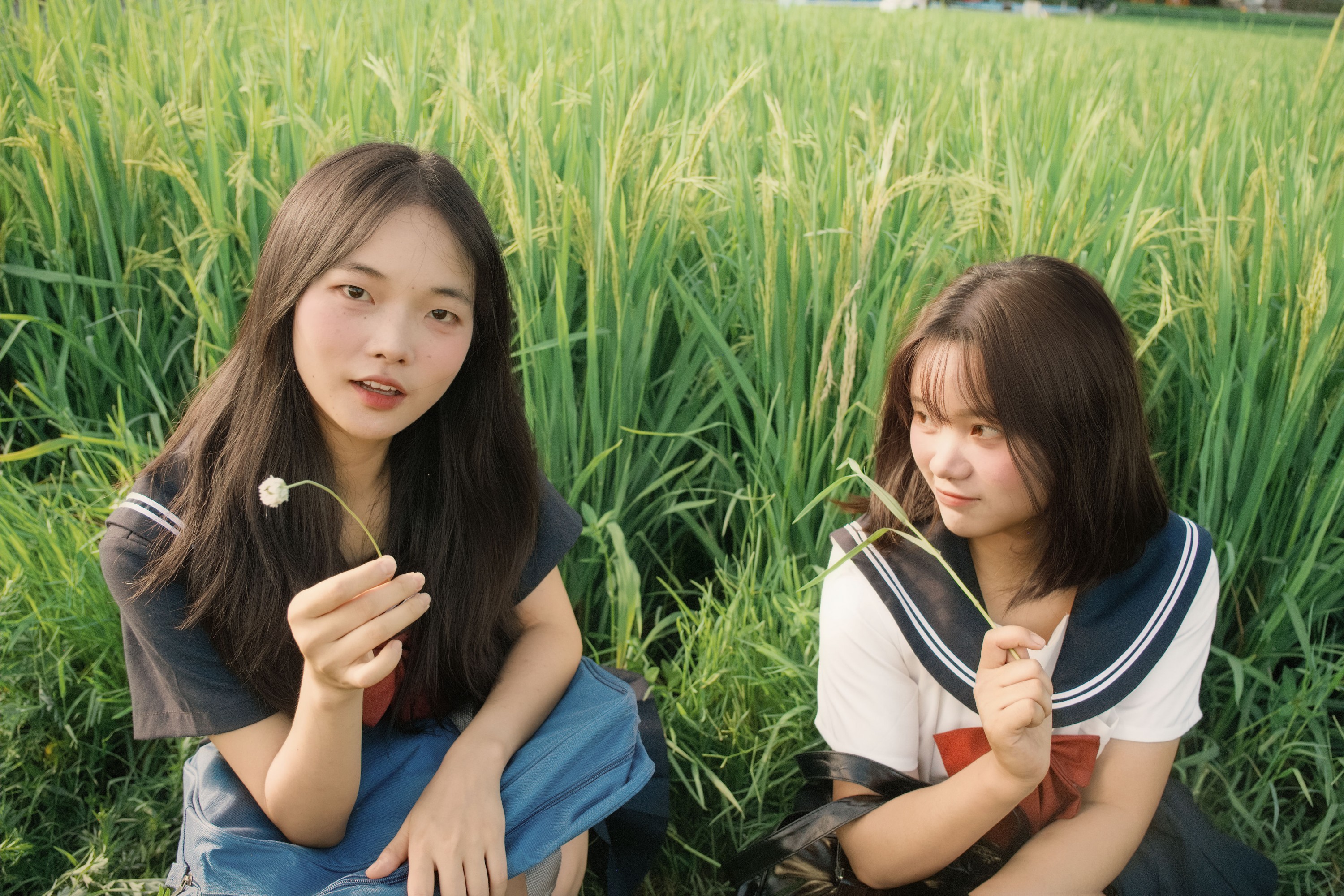 十一～ 幸运汤圆 – 《稻香》[40P]