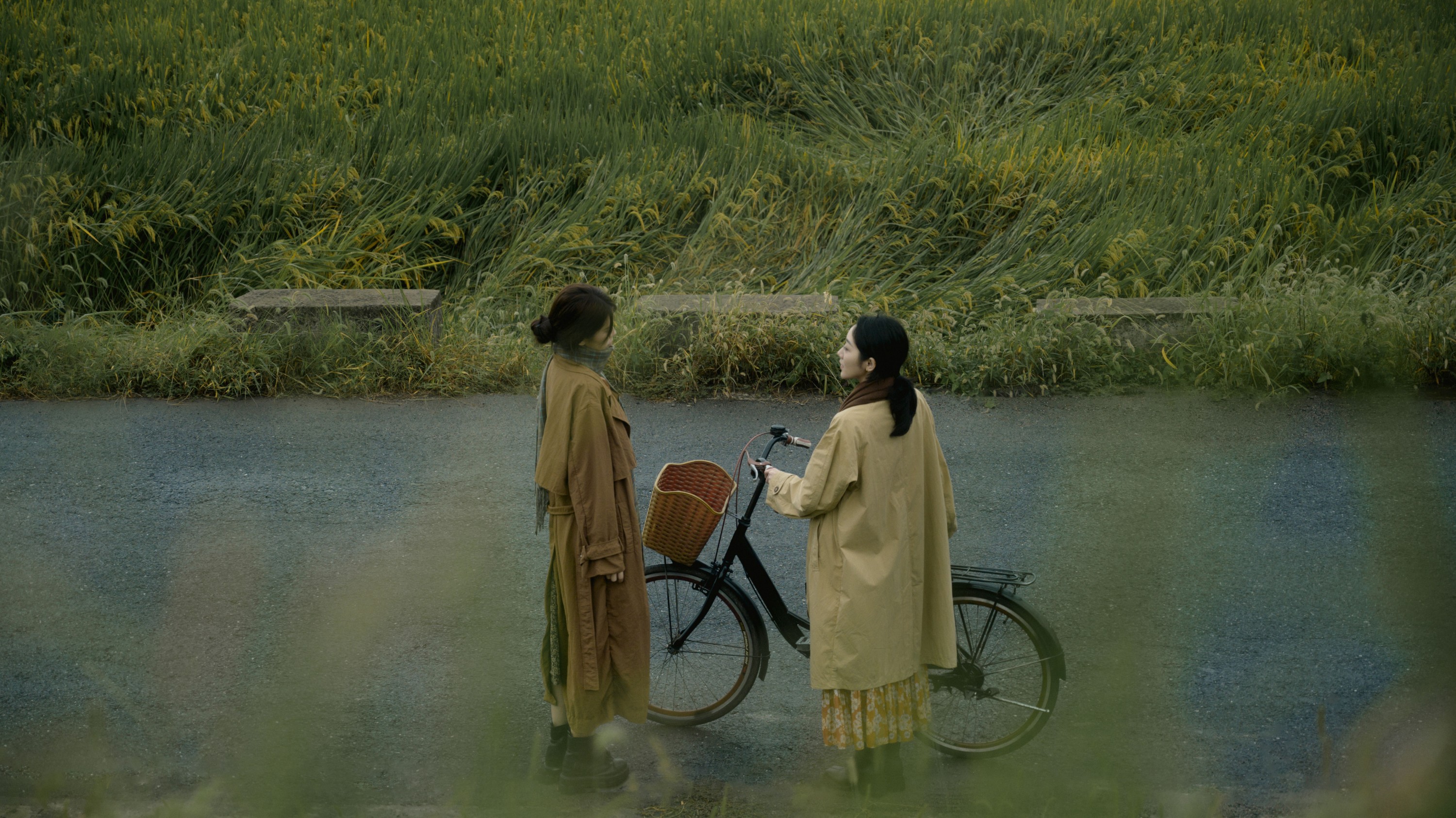 – 《带我走吧》[25P]