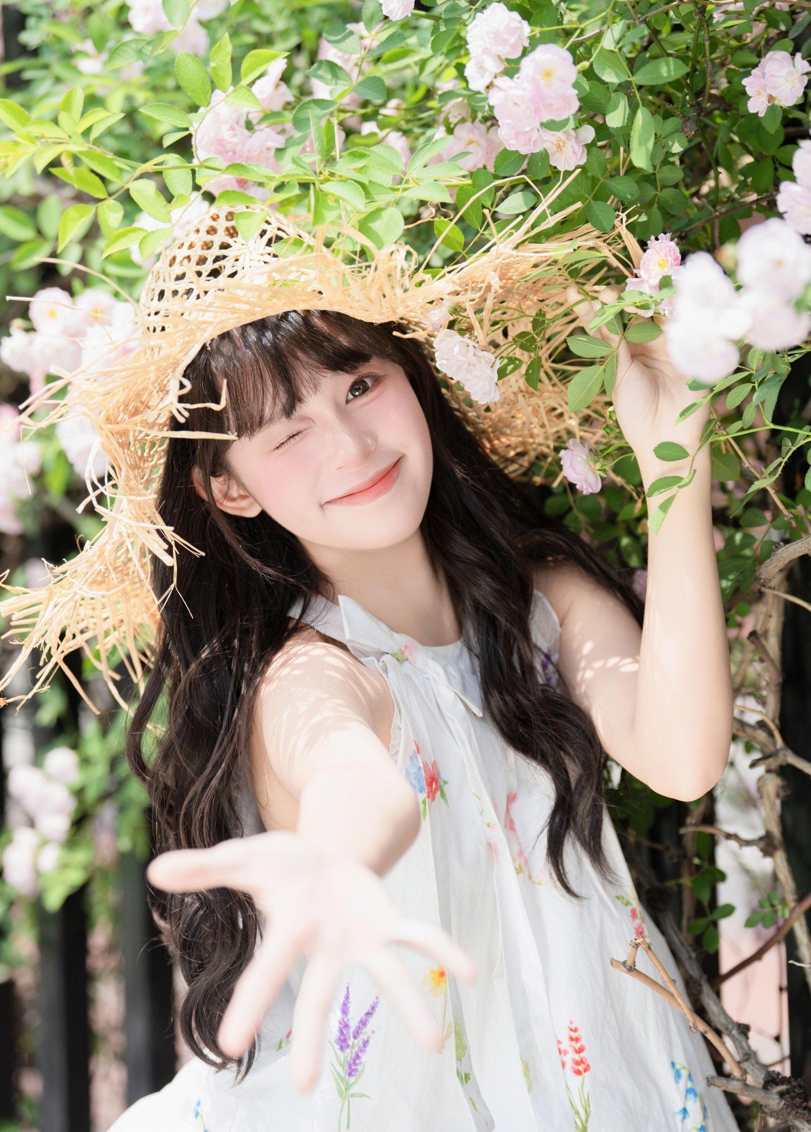 夏芋小年 – 《蔷薇花开》[35P]