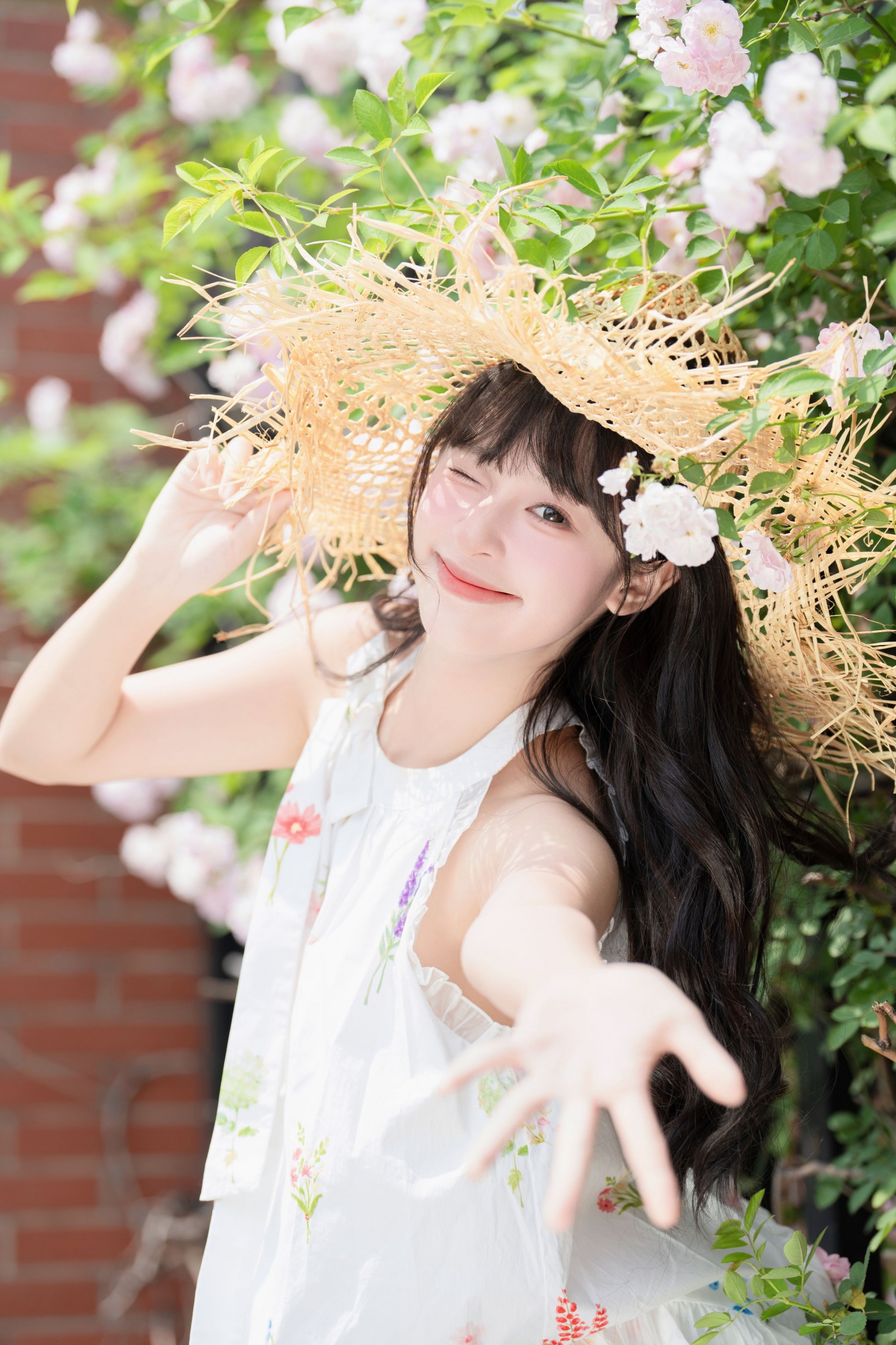 夏芋小年 – 《蔷薇花开》[35P]