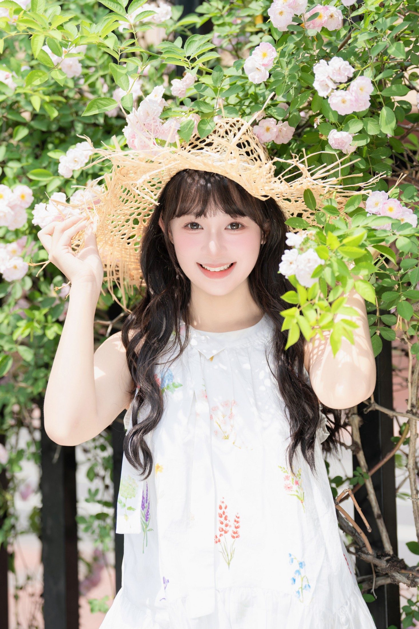 夏芋小年 – 《蔷薇花开》[35P]