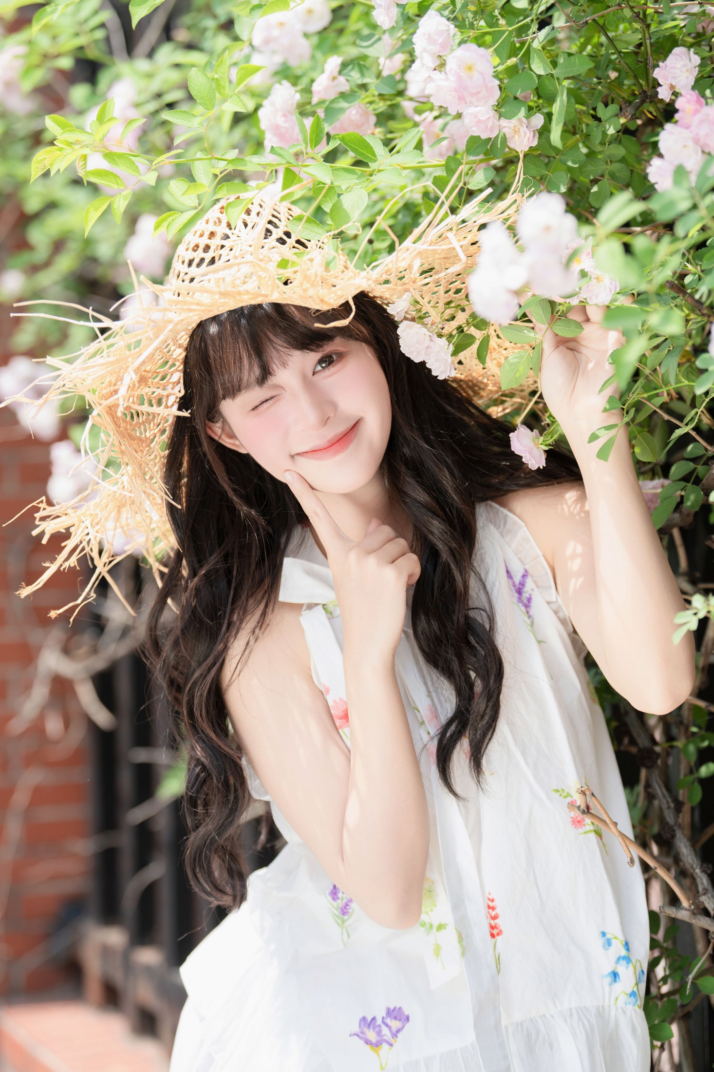 夏芋小年 – 《蔷薇花开》[35P]