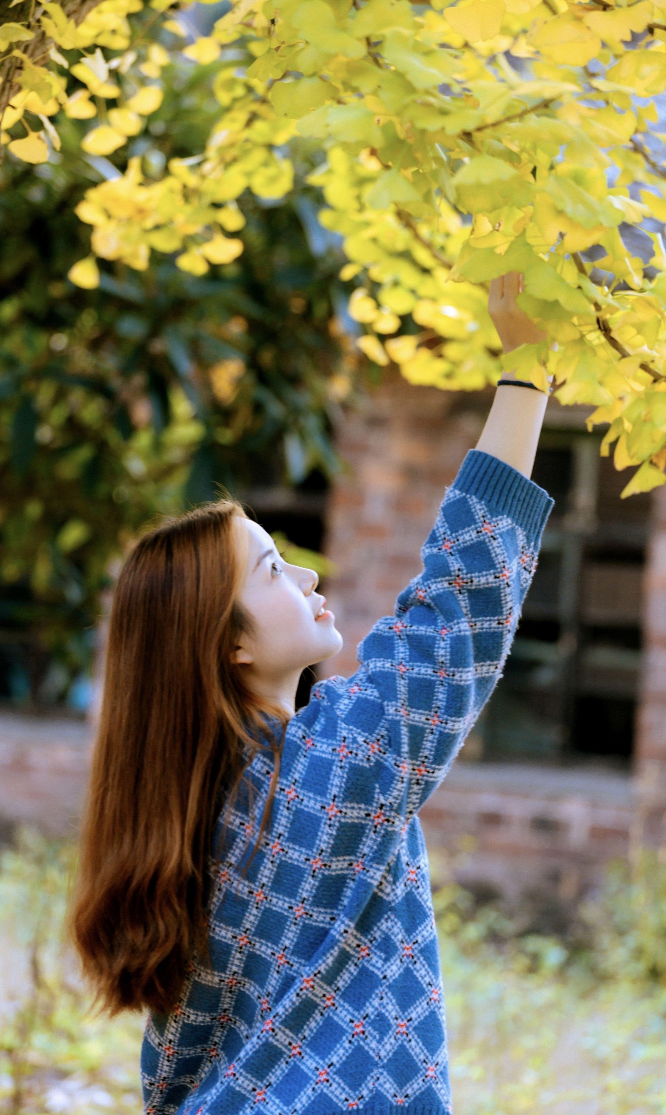 鑫鑫 – 《秋叶黄了》[13P]