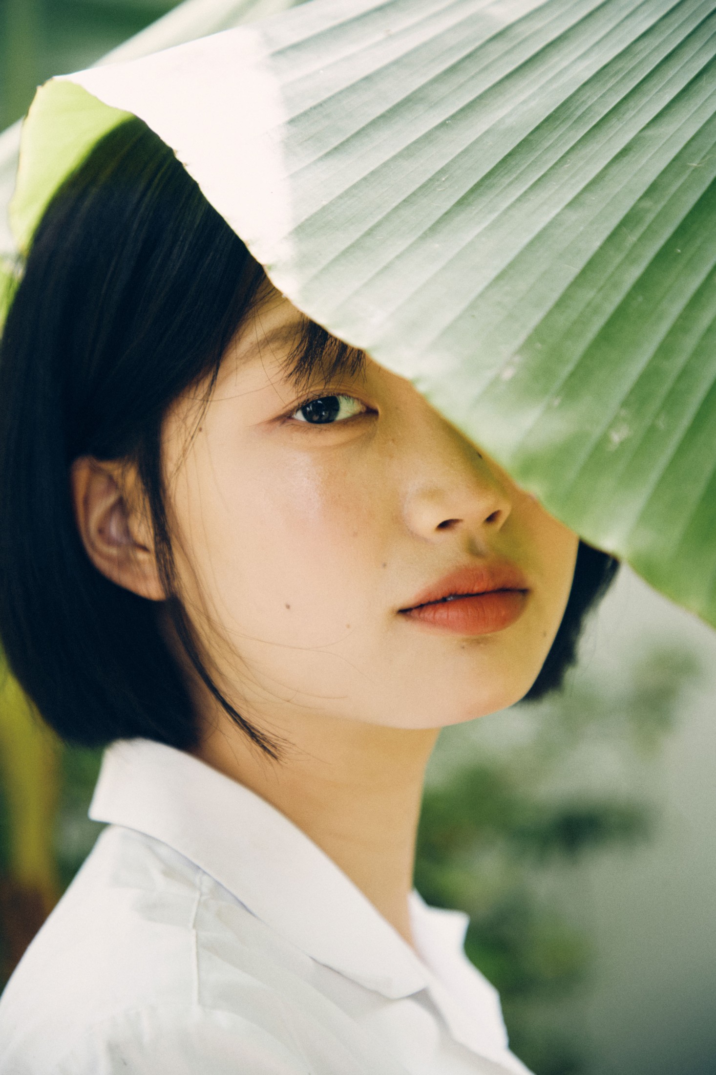 香菜盐汽水 – 《中国青年》[17P]