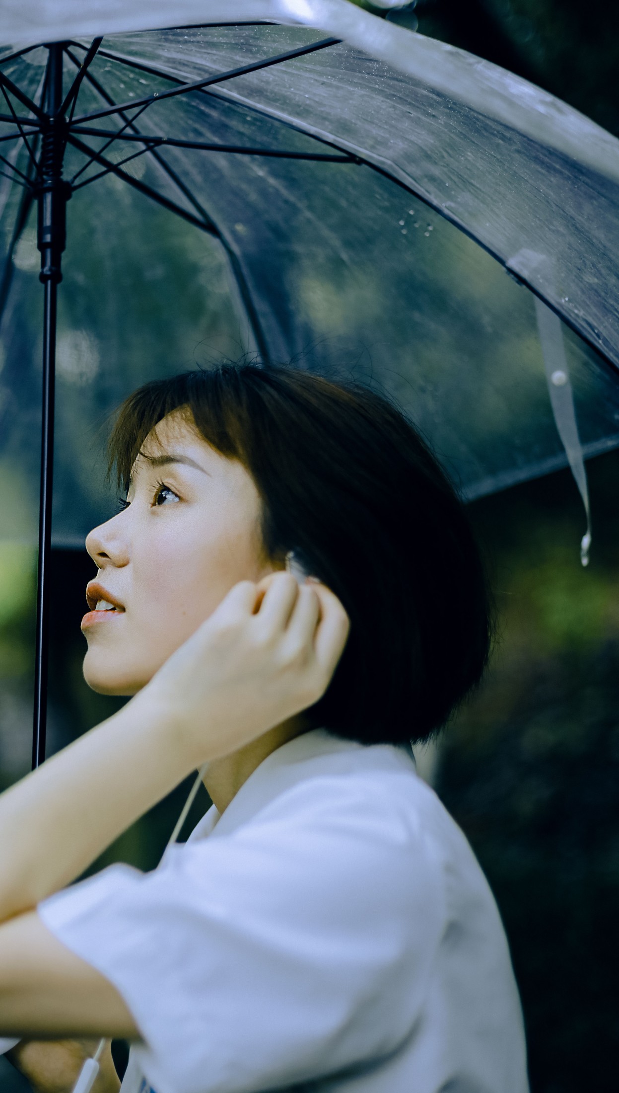 鑫鑫 – 《雨后》[16P]