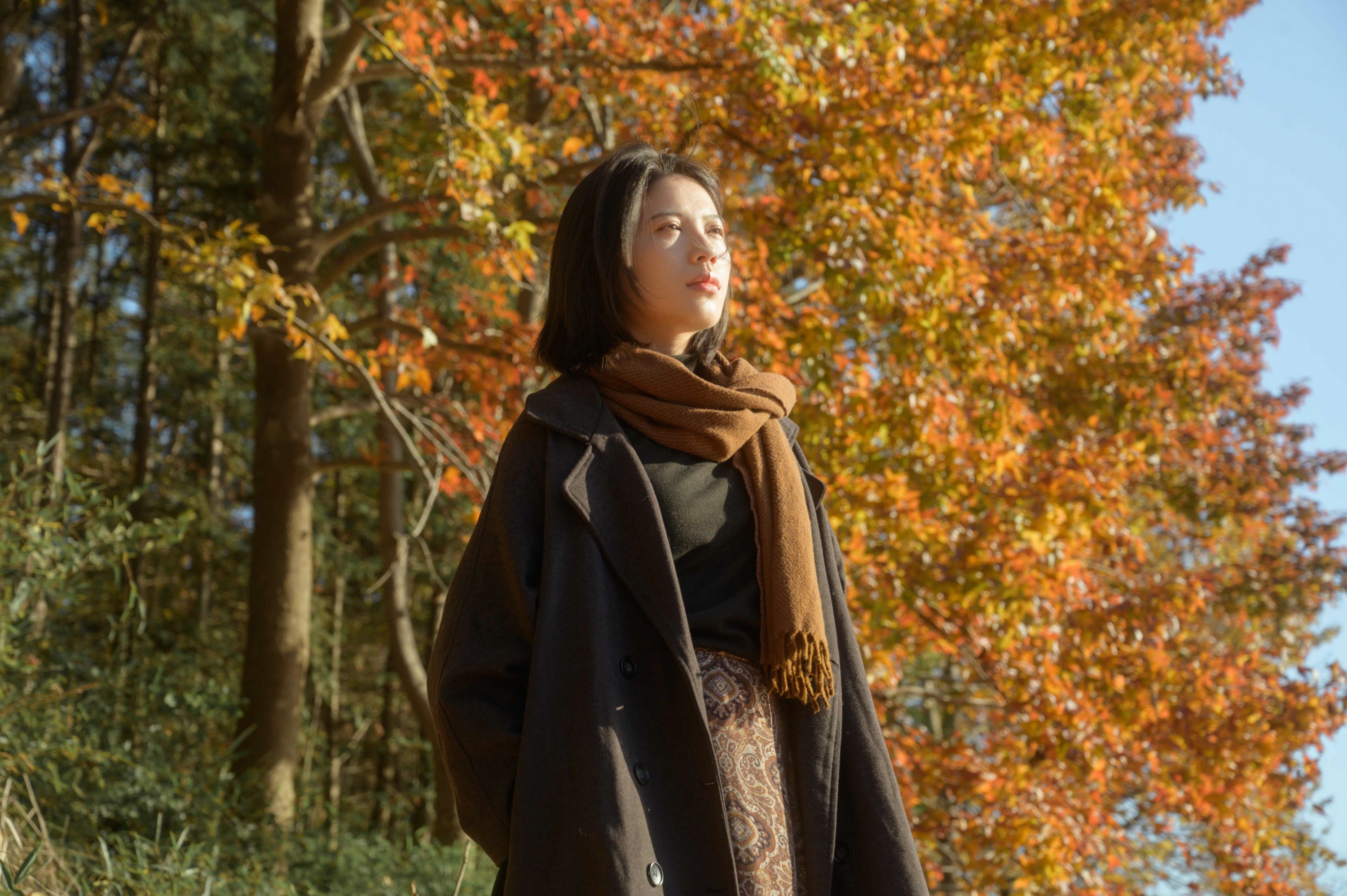 2000 – 《又是一年秋》[27P]