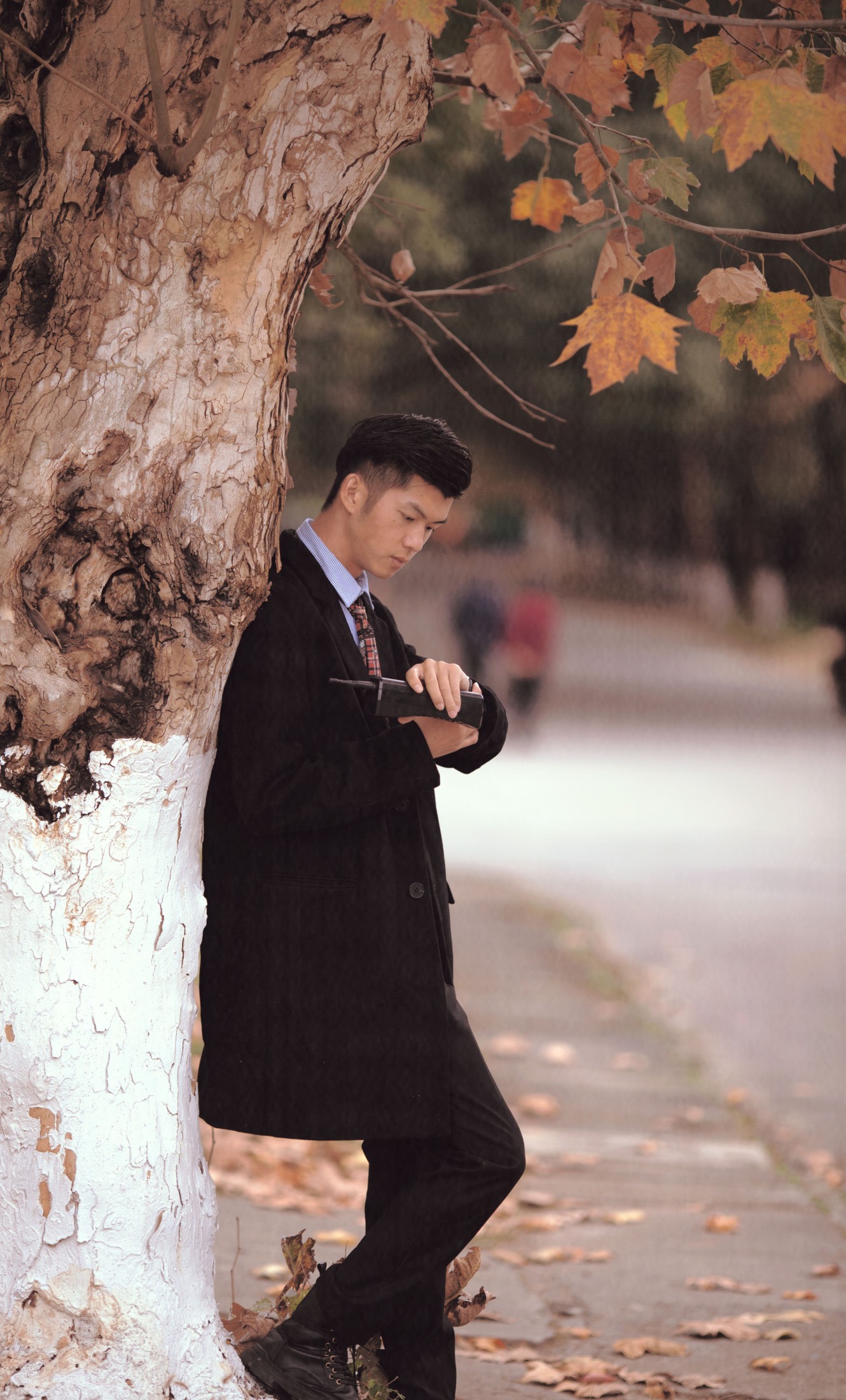 亮哥 – 《晚秋》[19P] 插图3