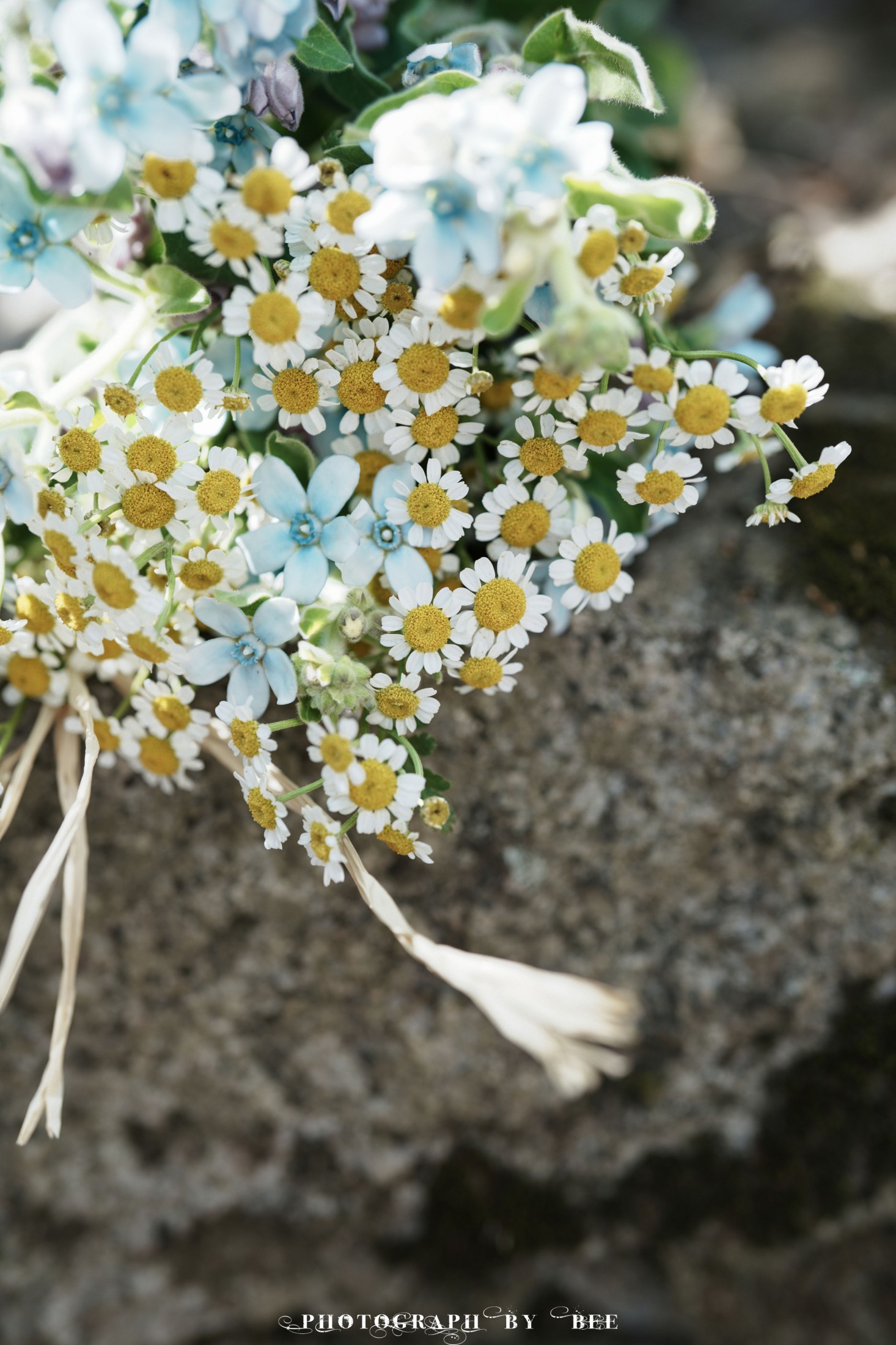 桂花鸭 – 《日系-日杂风》[17P]