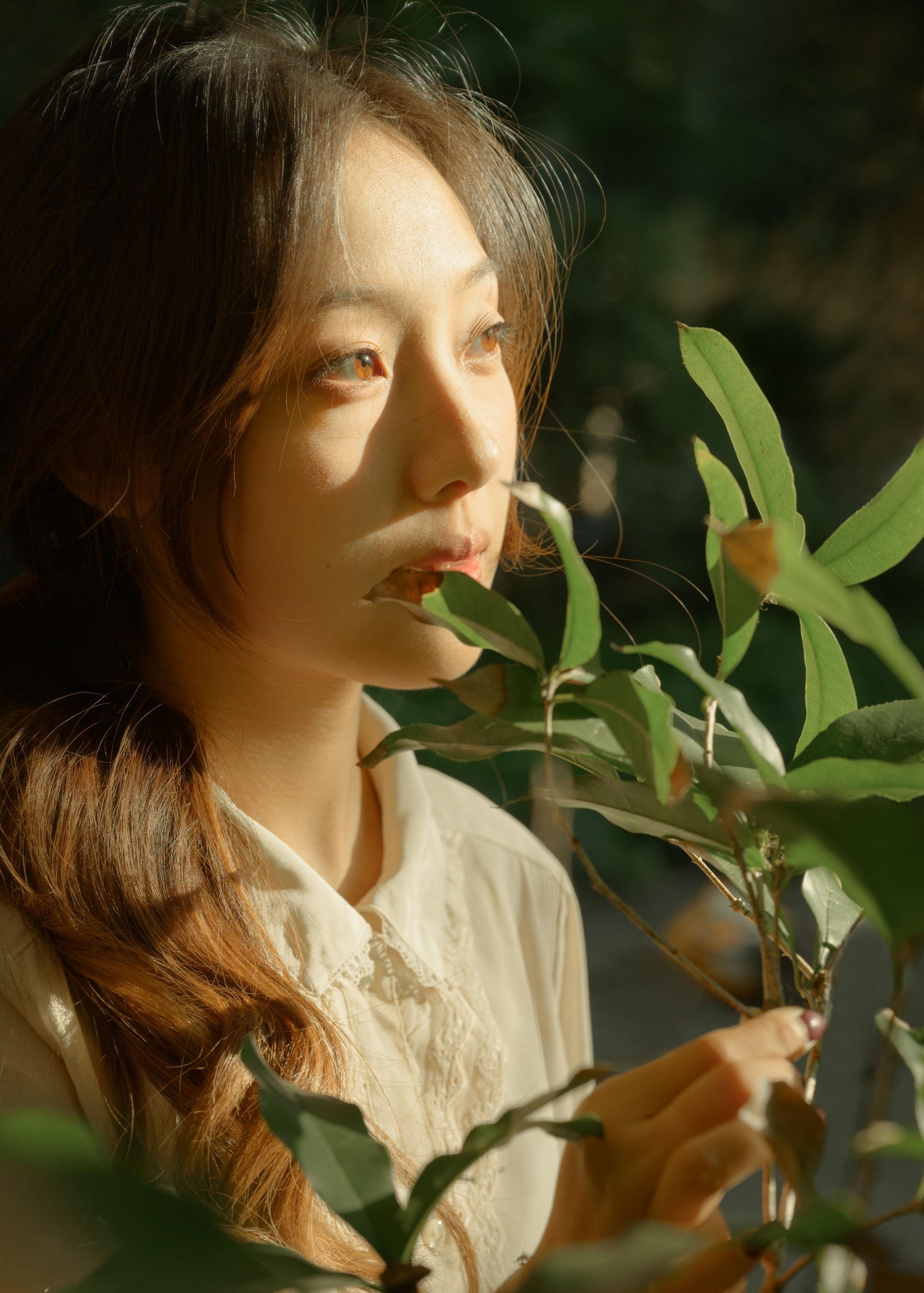 小翟 – 《光照的方向》[20P]