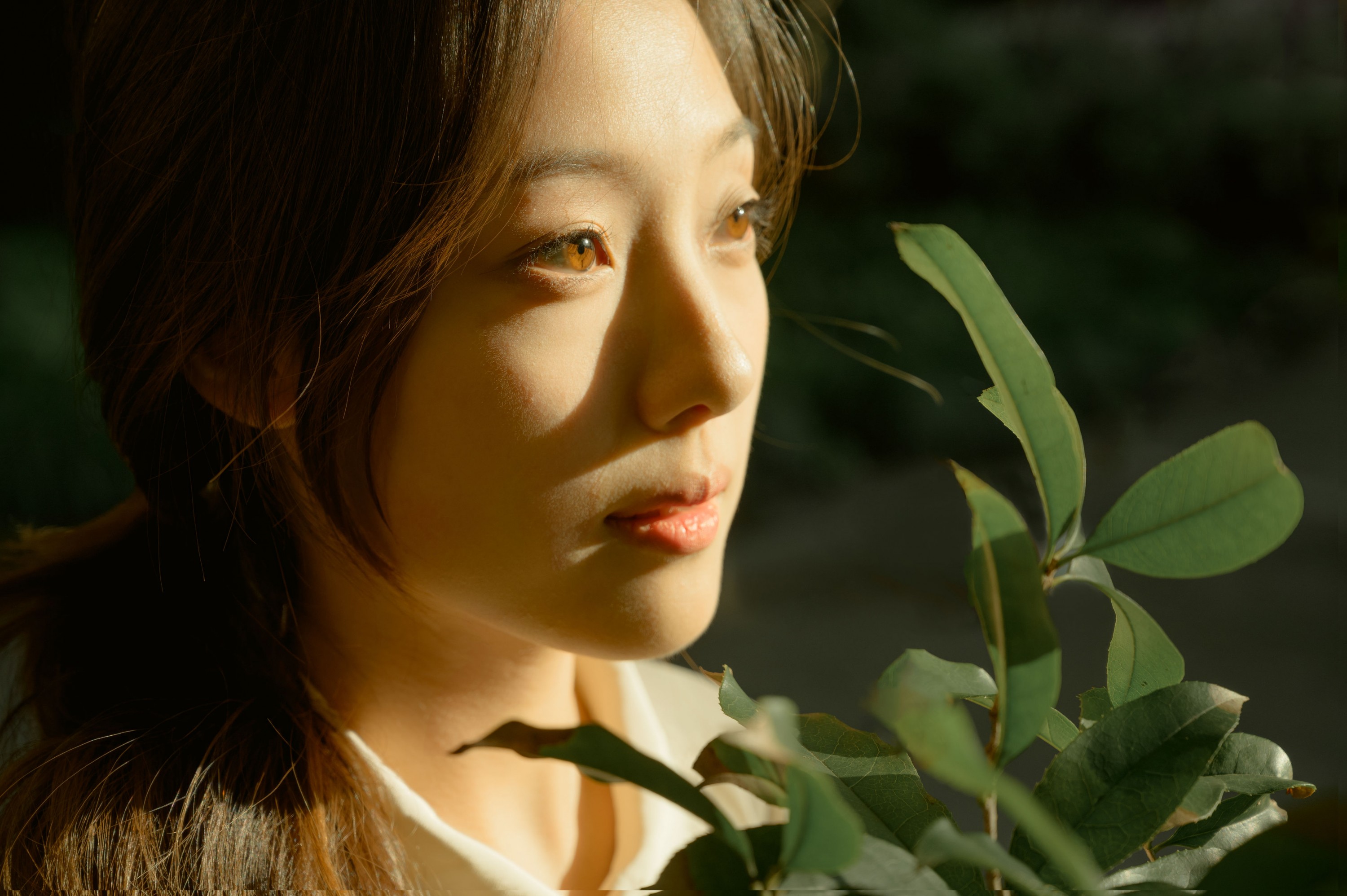 小翟 – 《光照的方向》[20P]