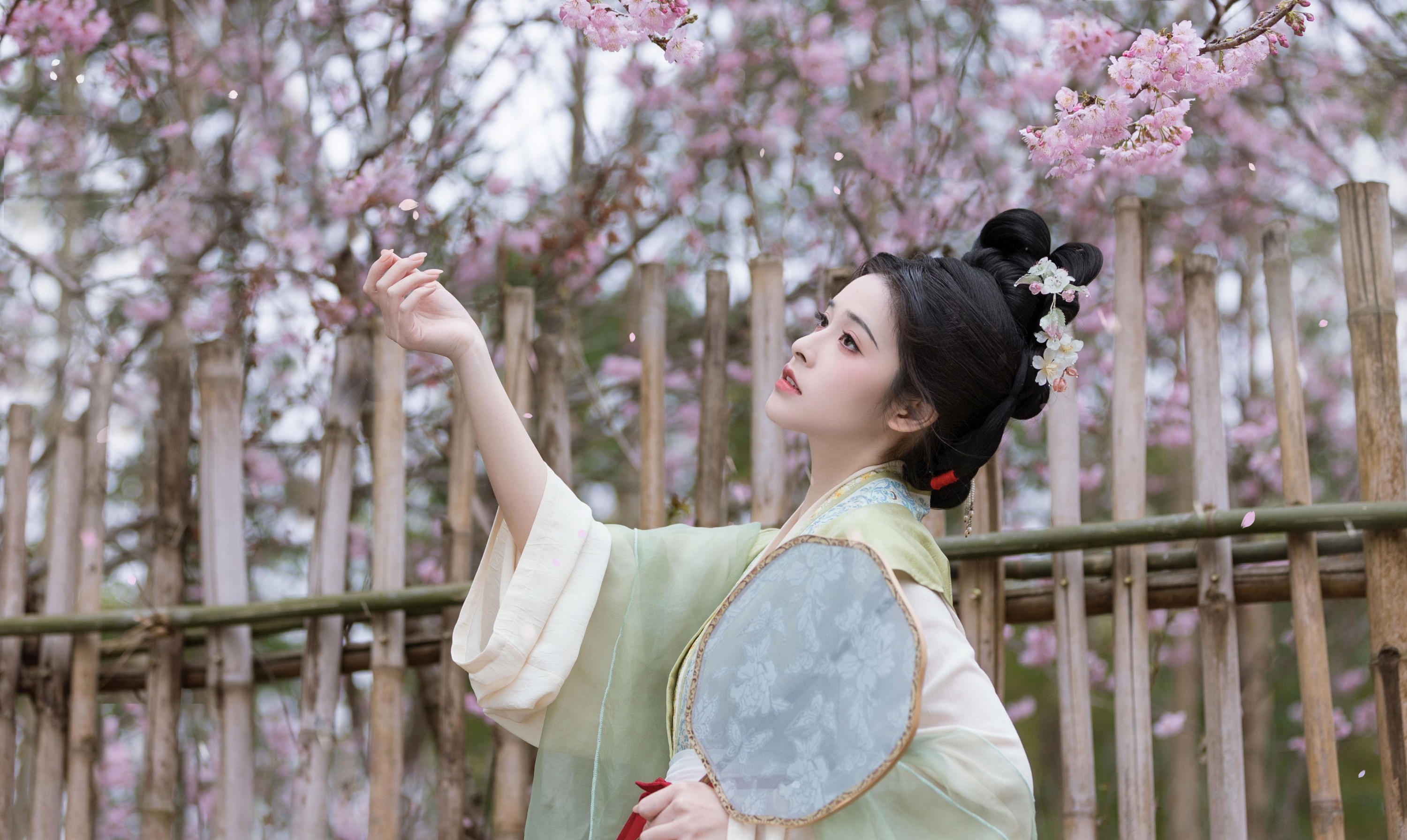 恬恬圈圈 – 《樱落》[20P]