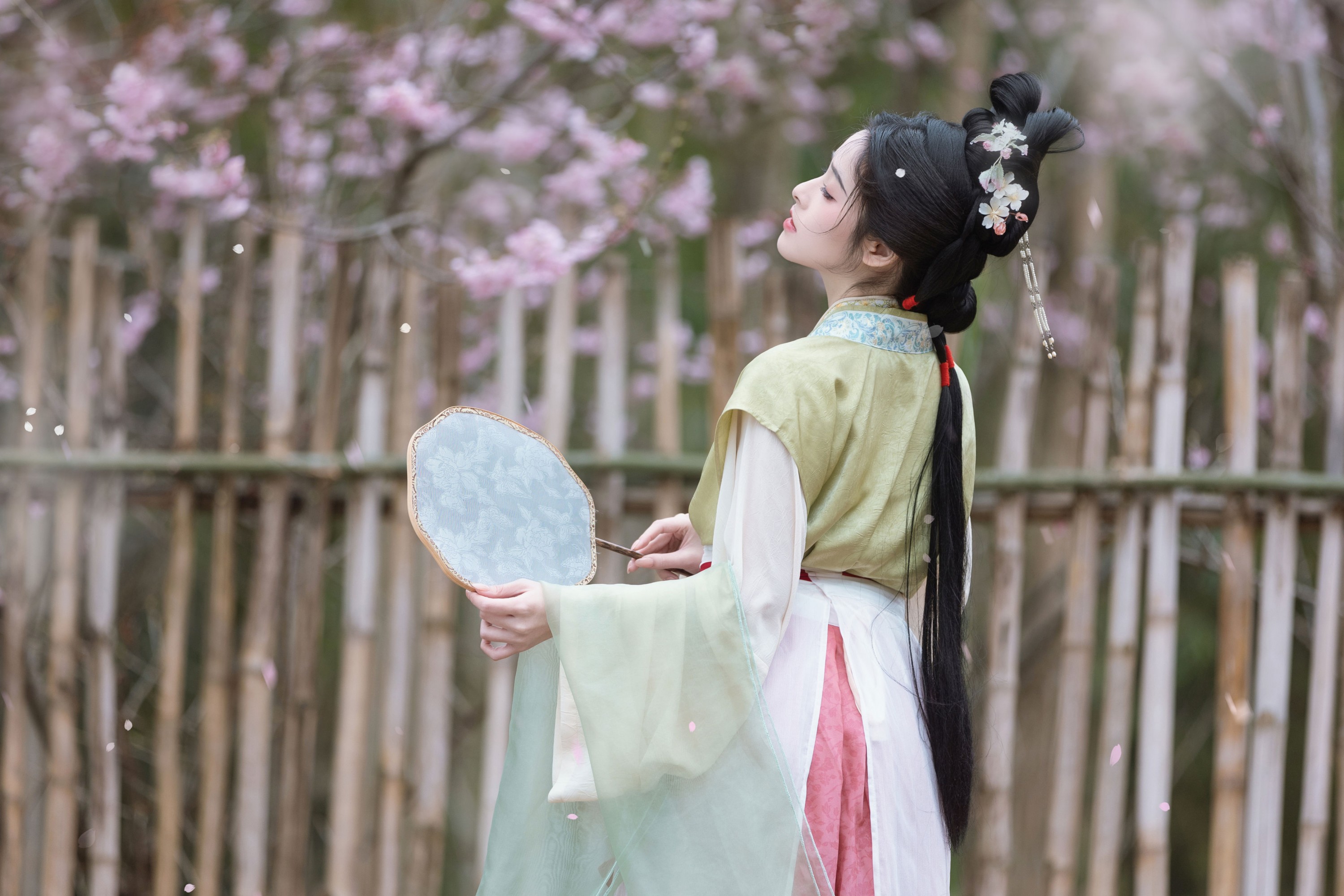 恬恬圈圈 – 《樱落》[20P]