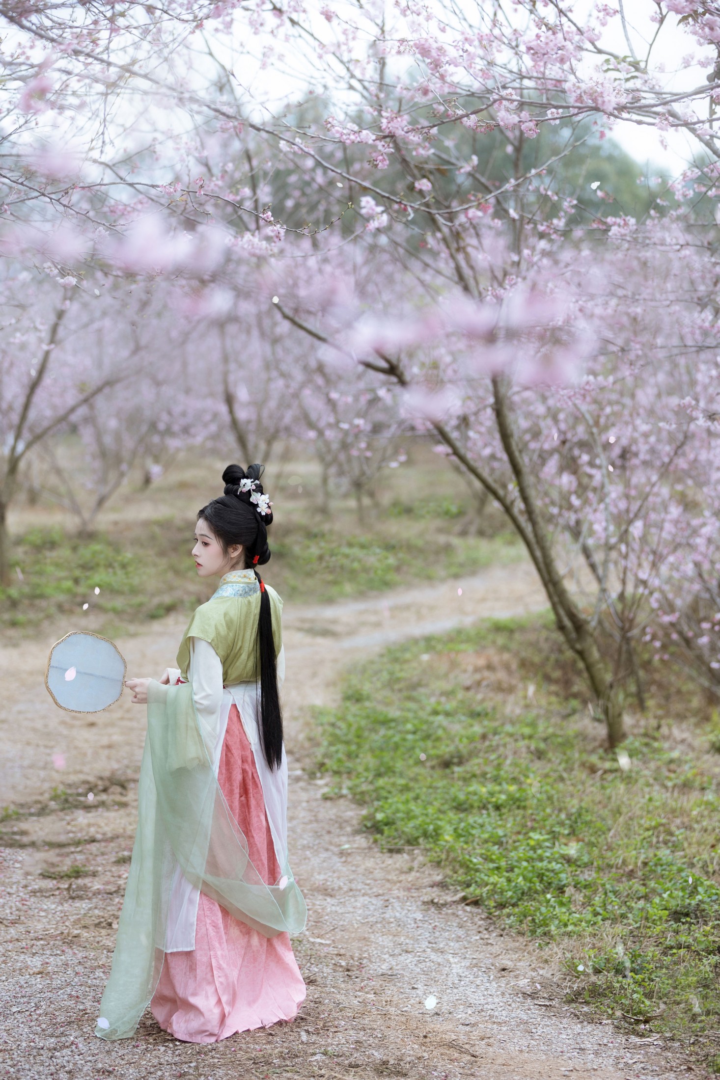 恬恬圈圈 – 《樱落》[20P]