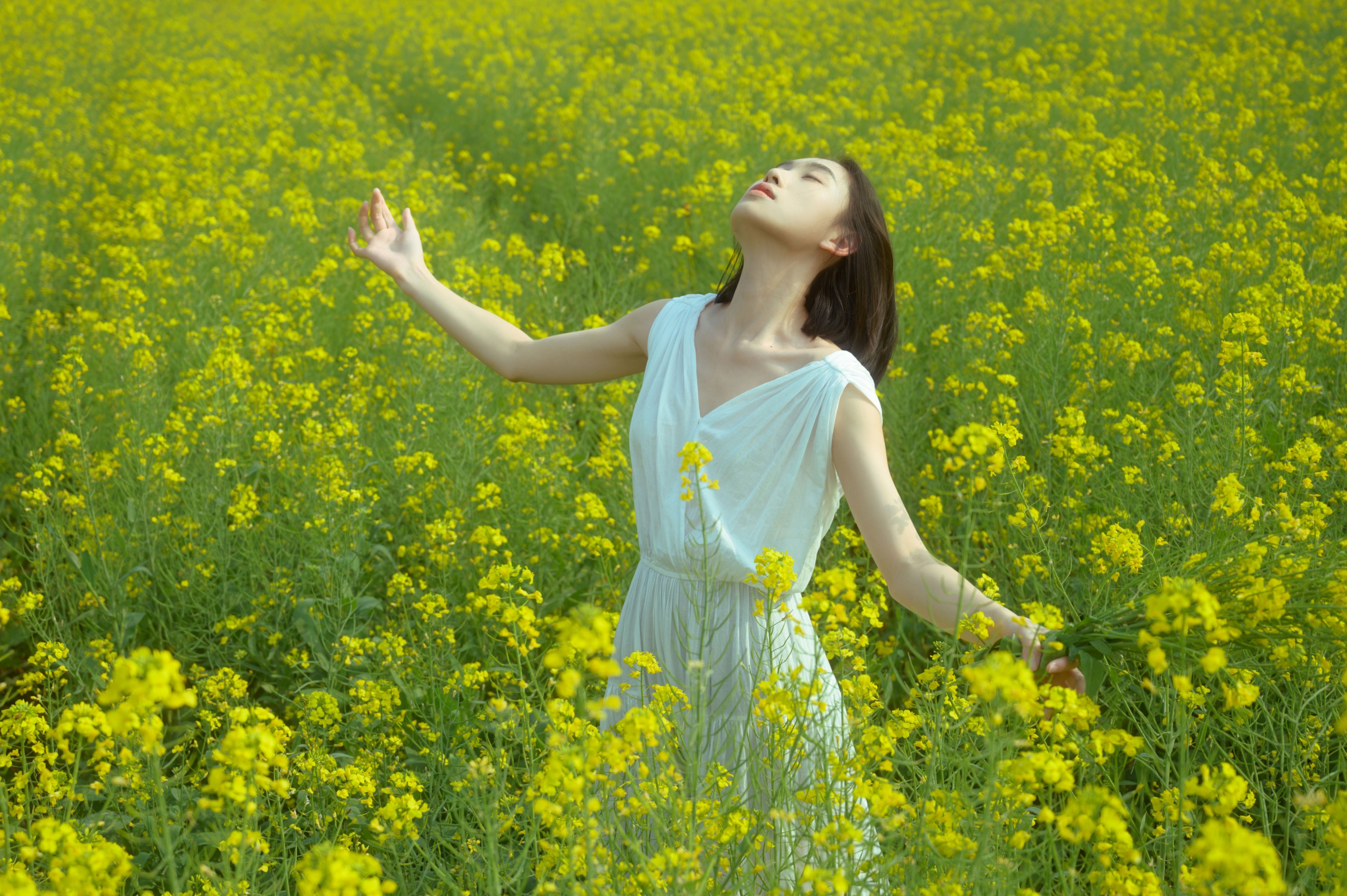 心洁 – 《蝴蝶与油菜花》[32P]