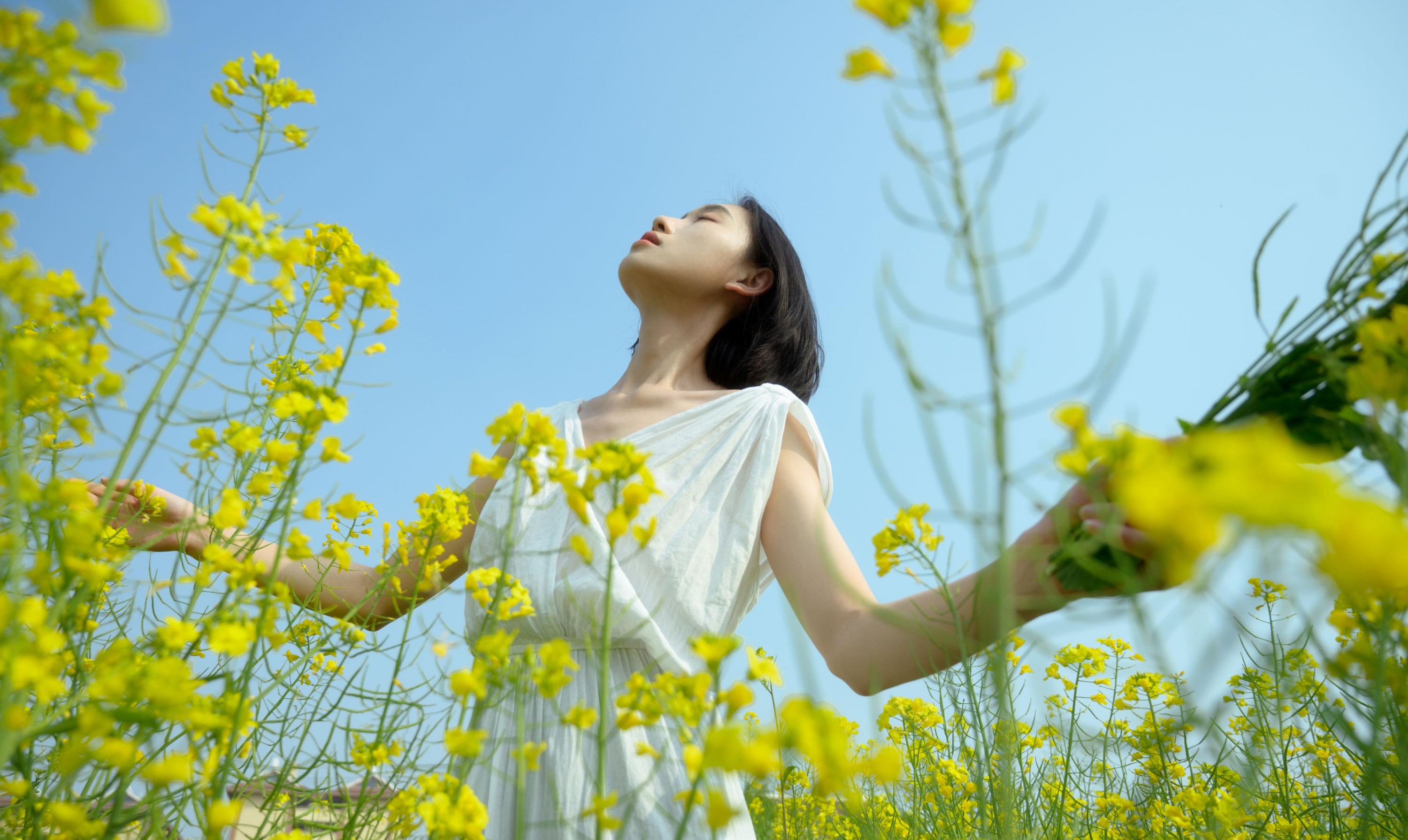 心洁 – 《蝴蝶与油菜花》[32P] 插图2