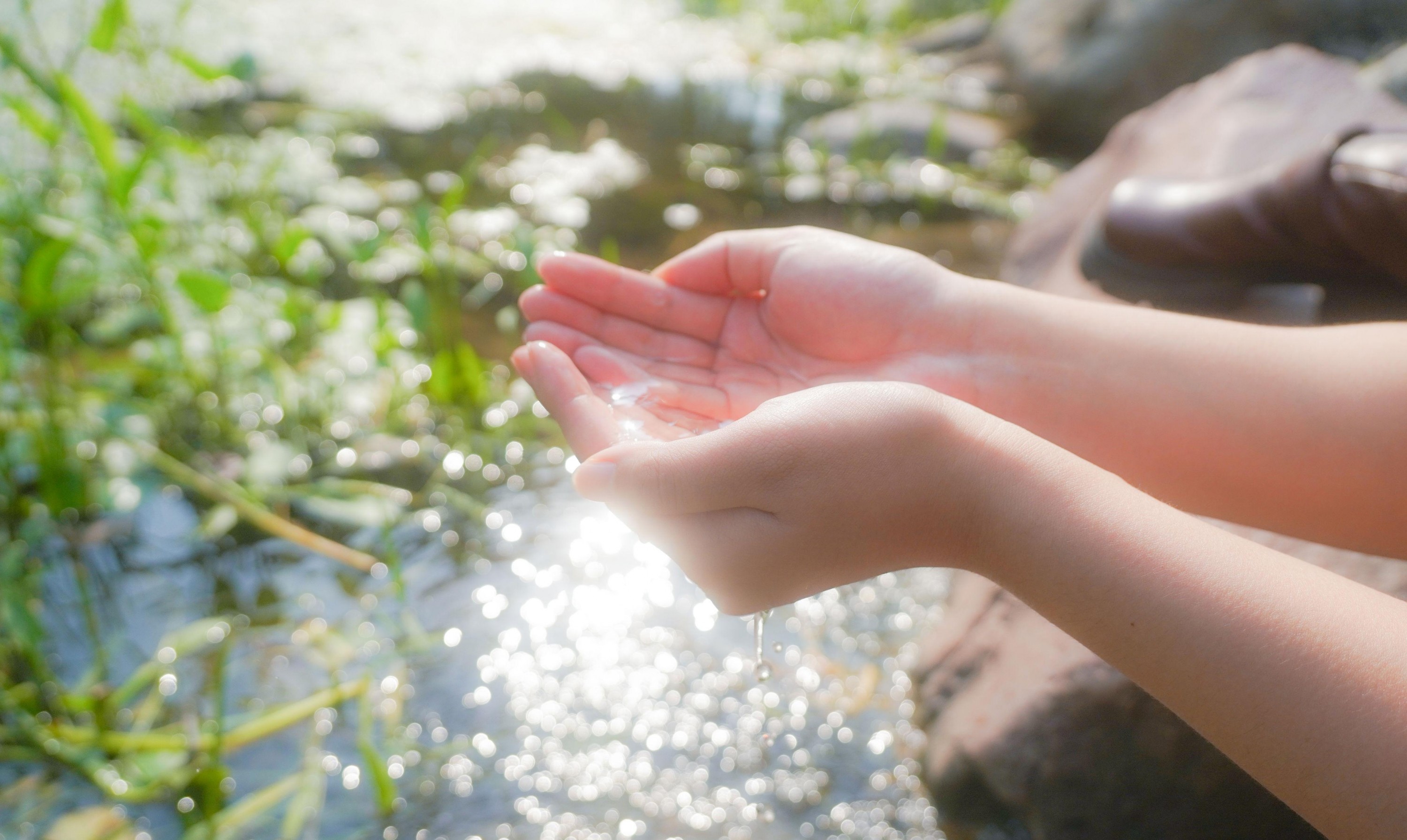 – 《葬送的芙莉莲》[12P]