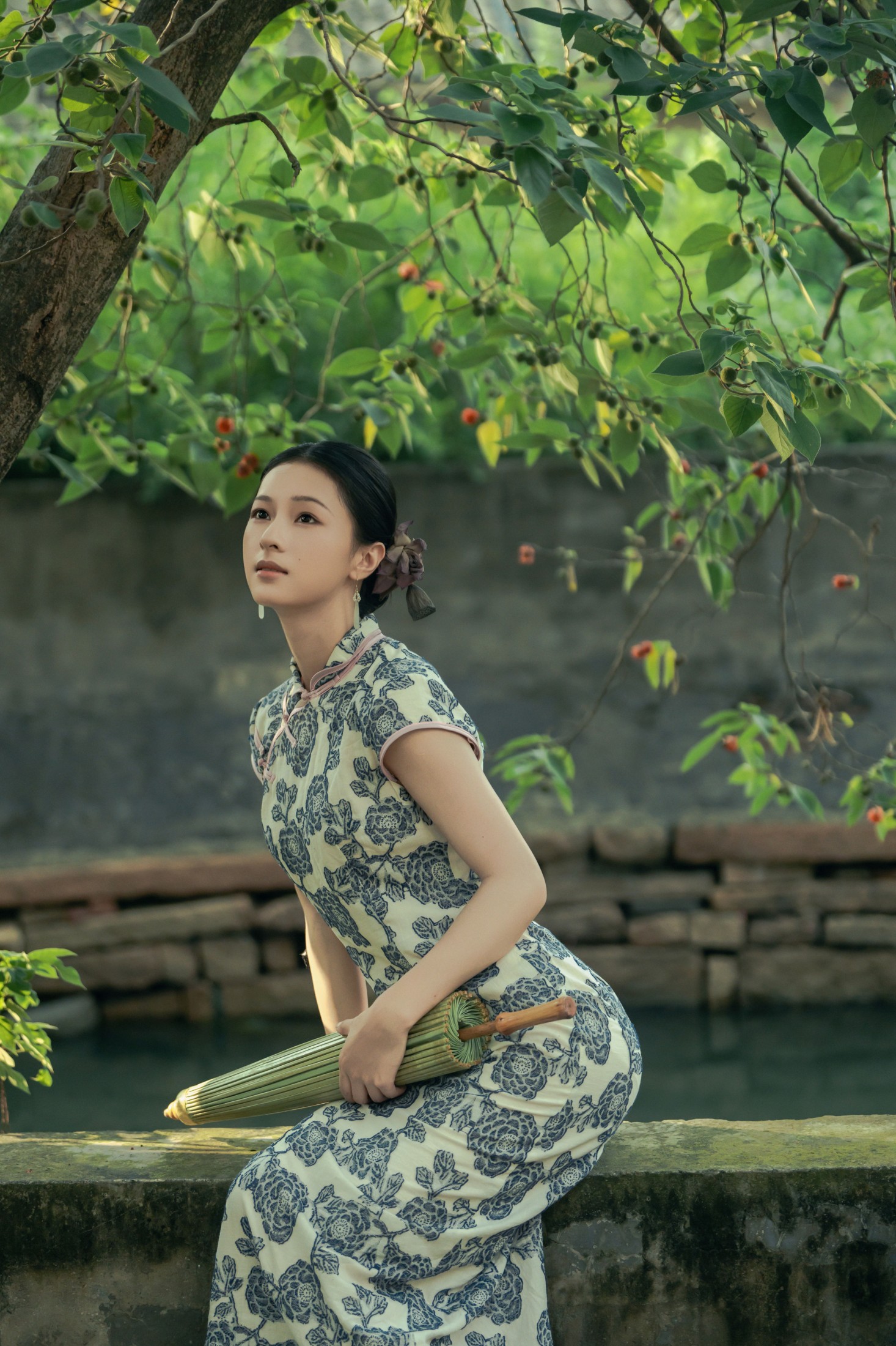 绛朱_ – 《旗袍 | 世上何来常青树》[16P]