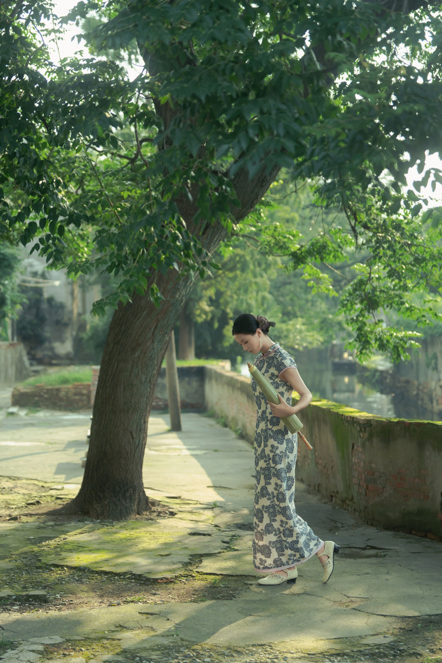 绛朱_ – 《旗袍 | 世上何来常青树》[16P]