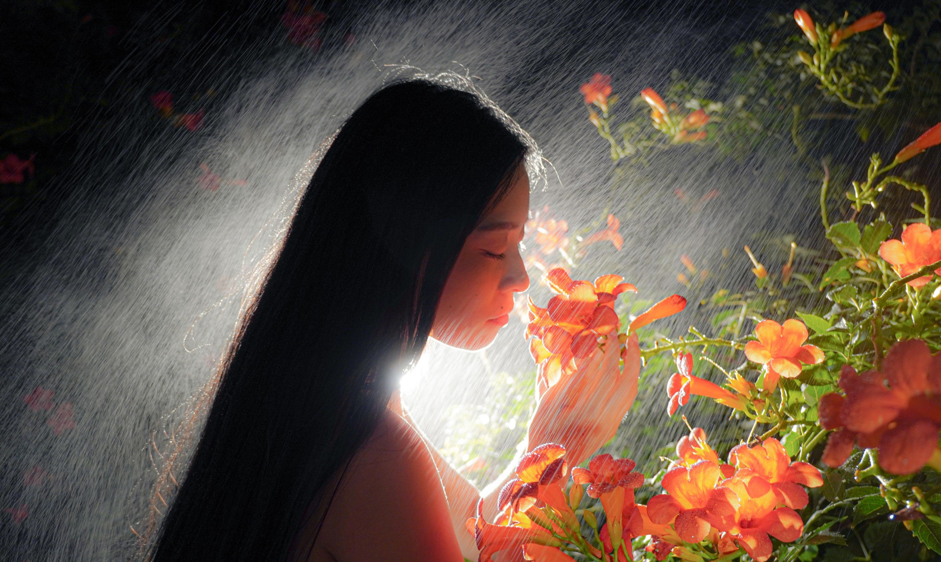 – 《梦里花》[11P]