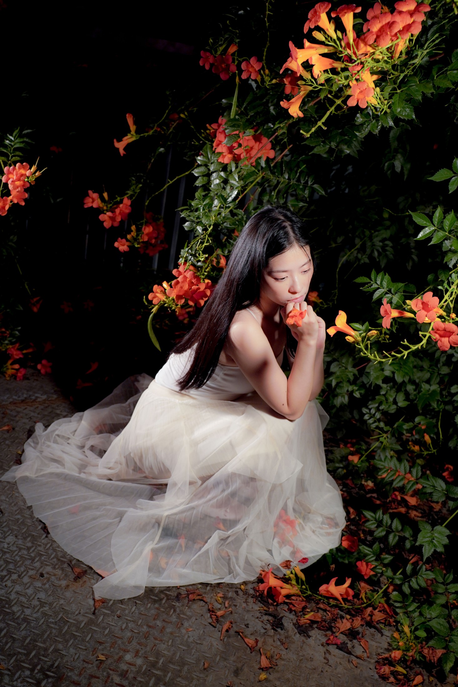 – 《梦里花》[11P]