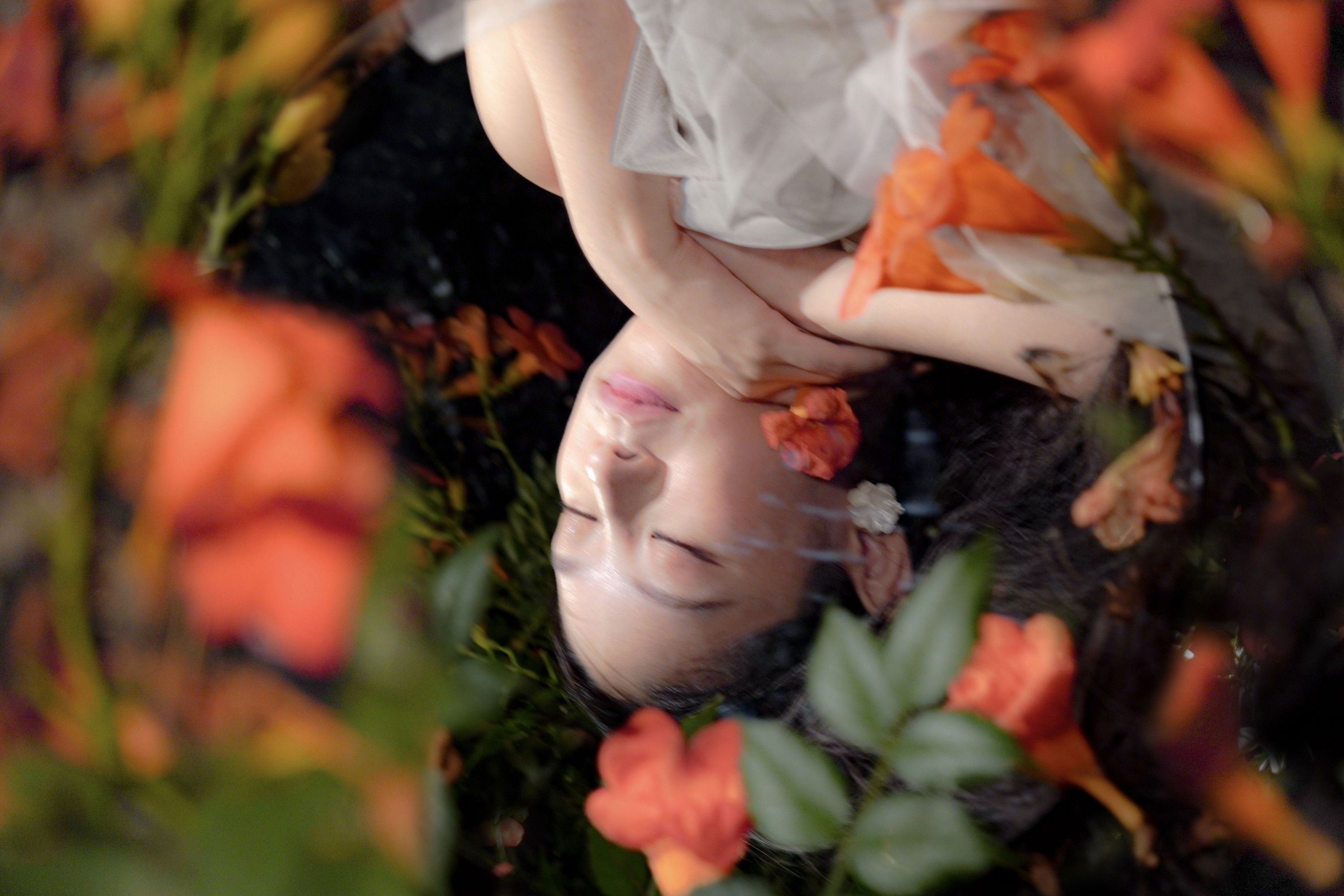 – 《梦里花》[11P]