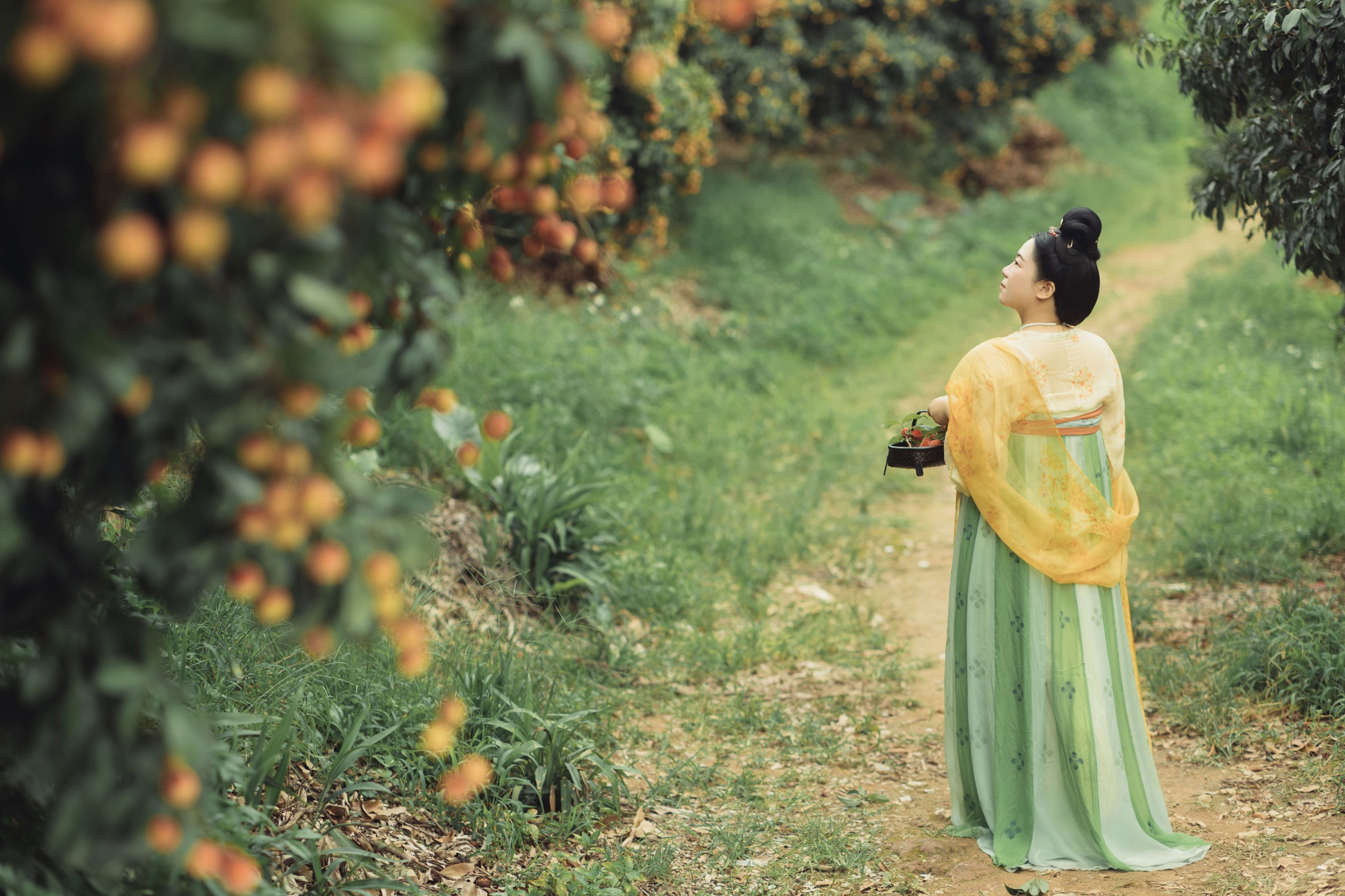 云中君 – 《荔枝香》[33P]