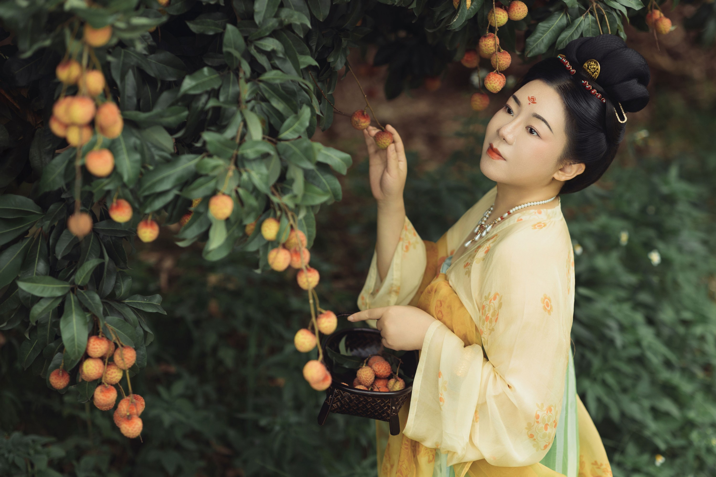 云中君 – 《荔枝香》[33P]