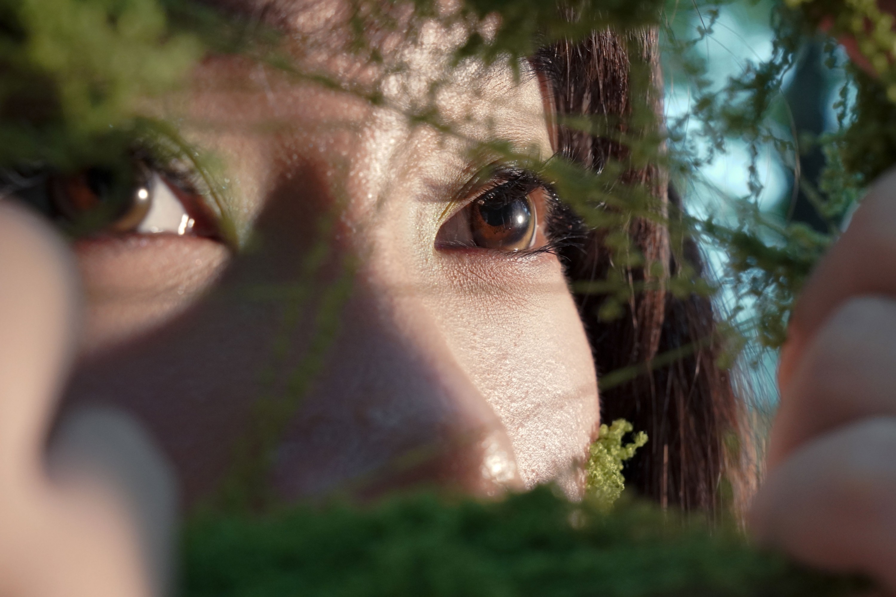 – 《寻找失落的蝴蝶》[15P]