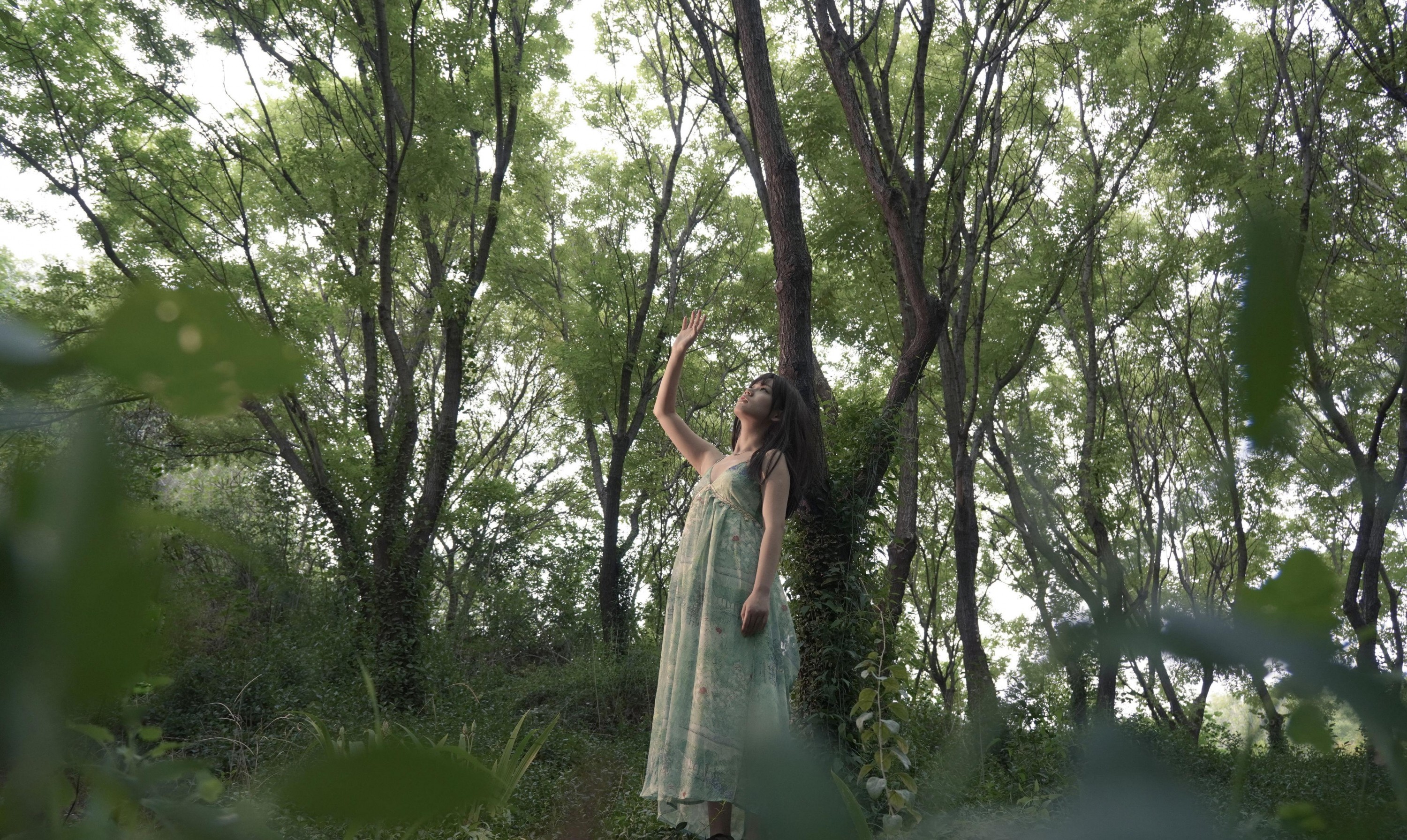 – 《寻找失落的蝴蝶》[15P]