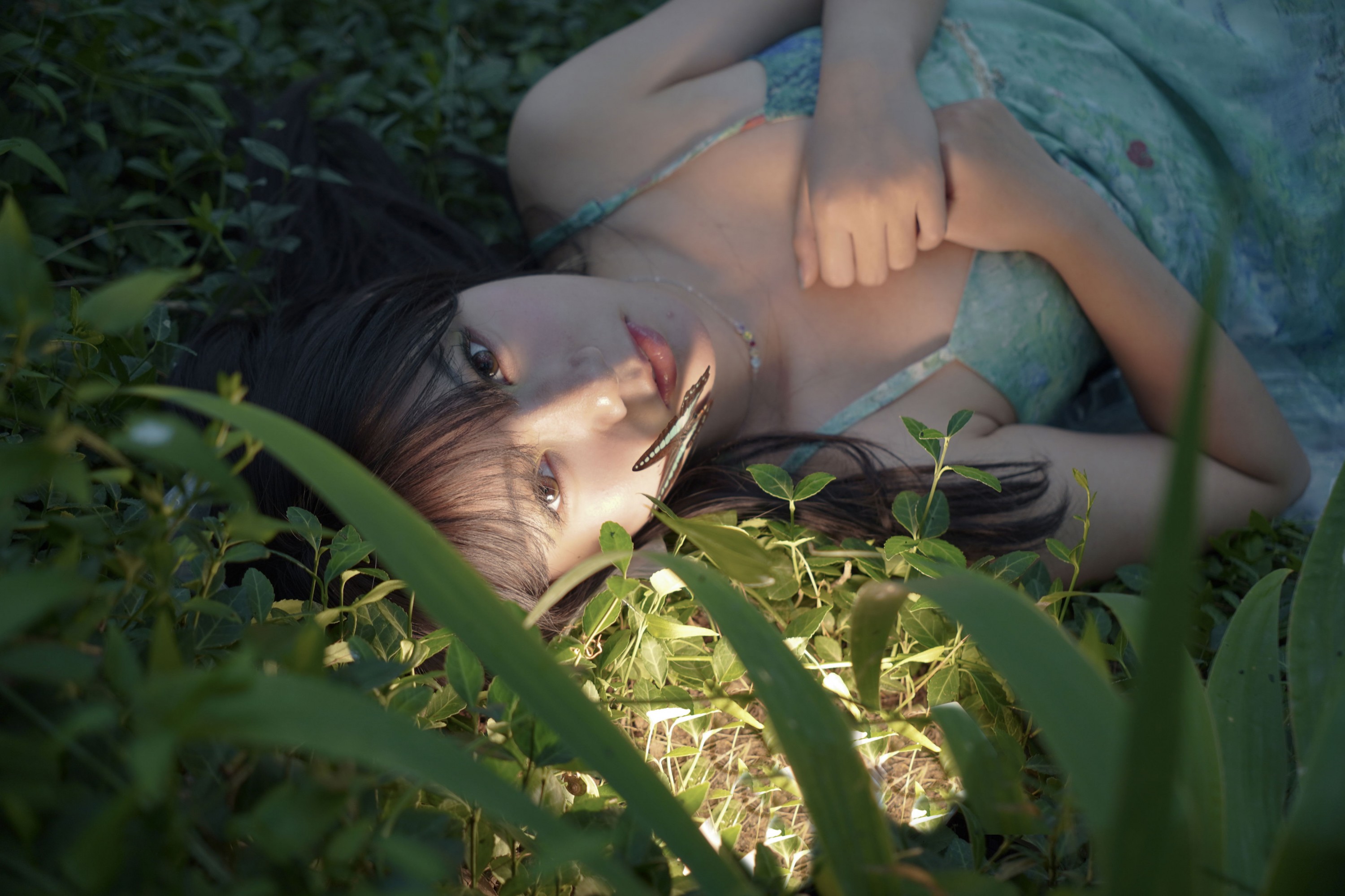 – 《寻找失落的蝴蝶》[15P]