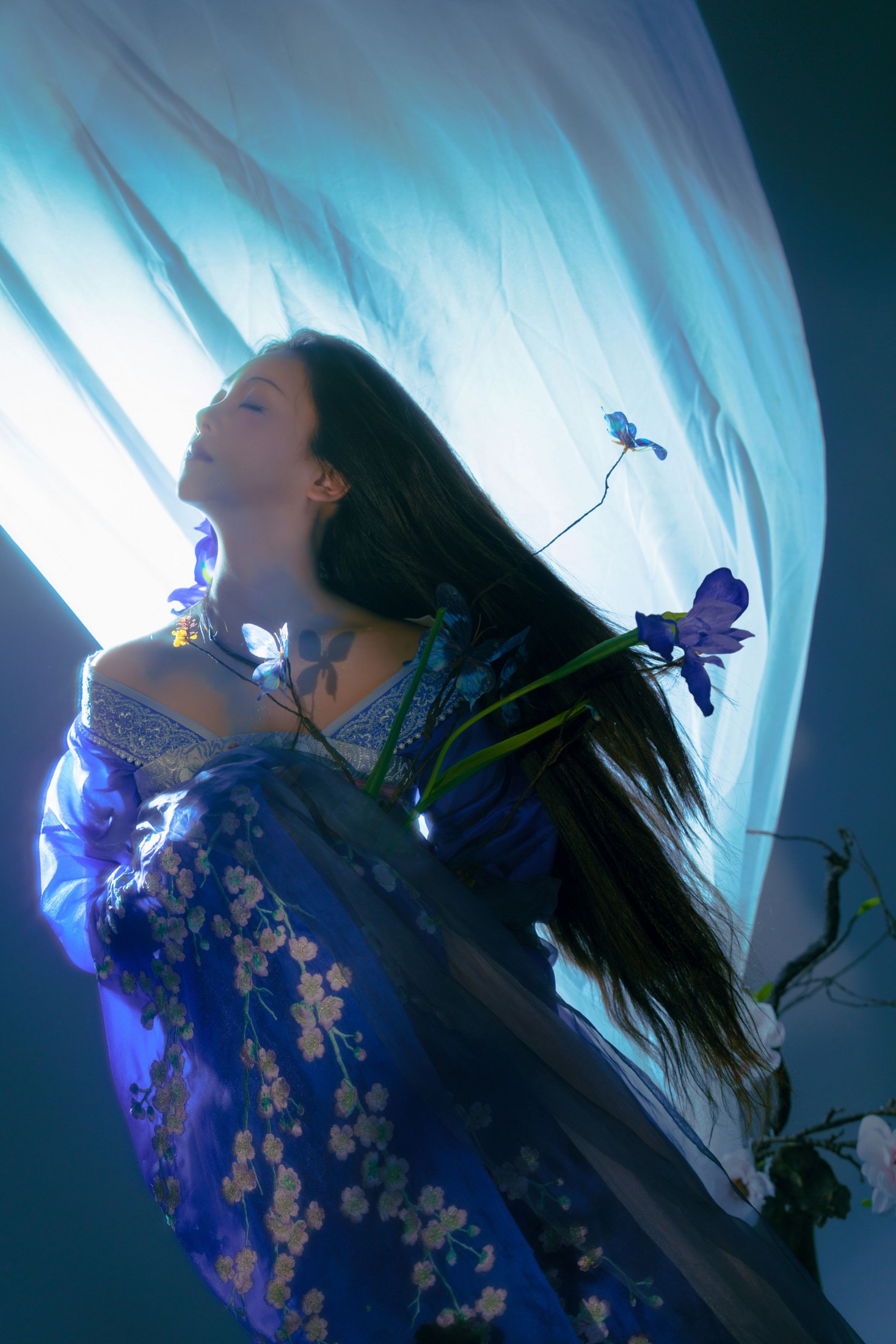 煜月是兔兔 – 《月下鸢尾》[13P]