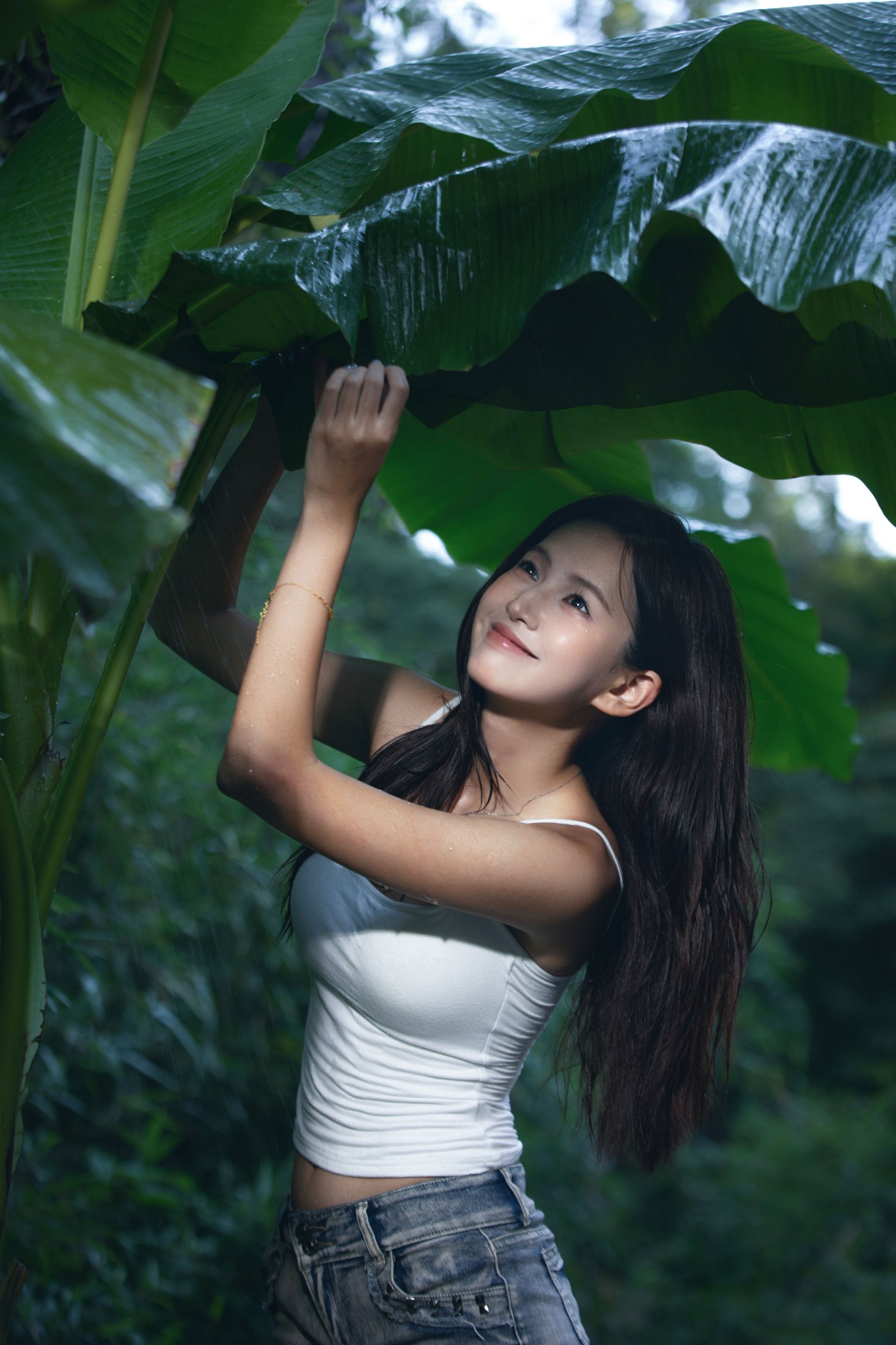 – 《雨打芭蕉》[17P]