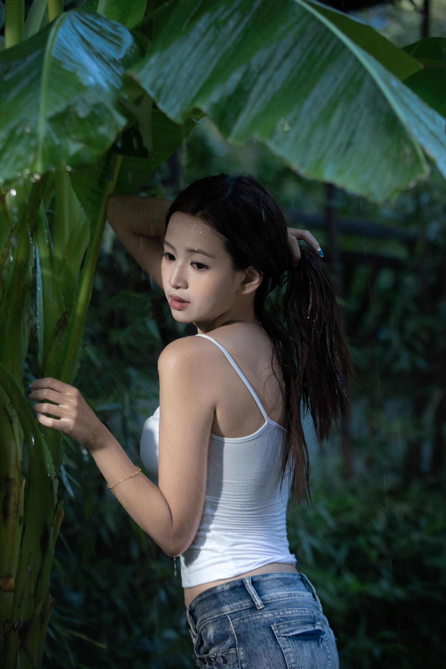 – 《雨打芭蕉》[17P]