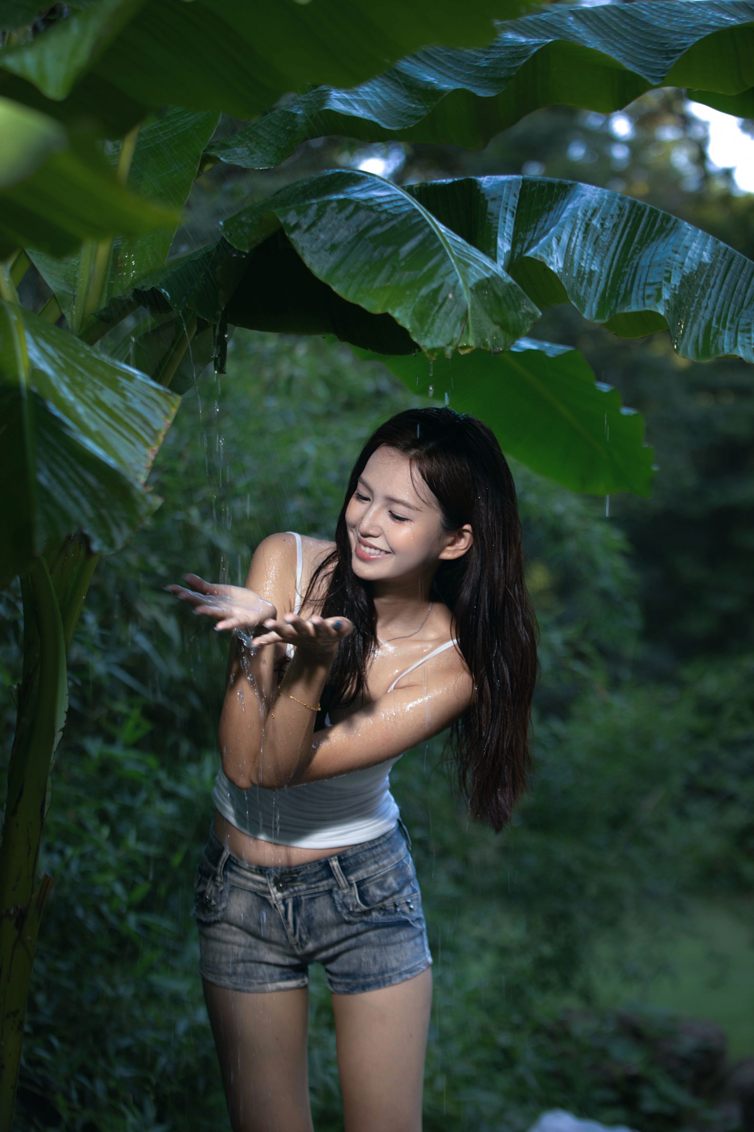 – 《雨打芭蕉》[17P]