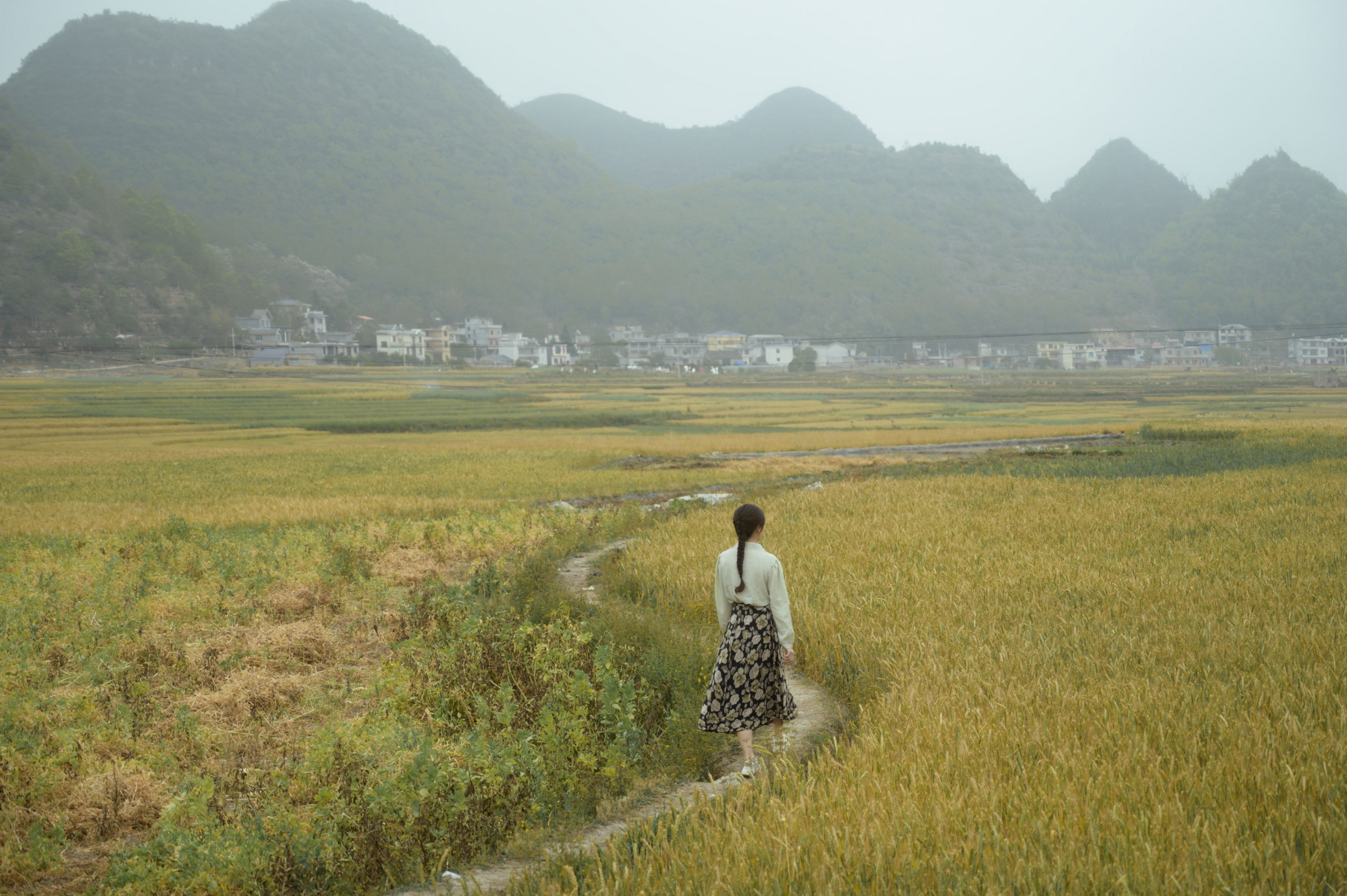 小张 – 《麦田的守望者》[21P]