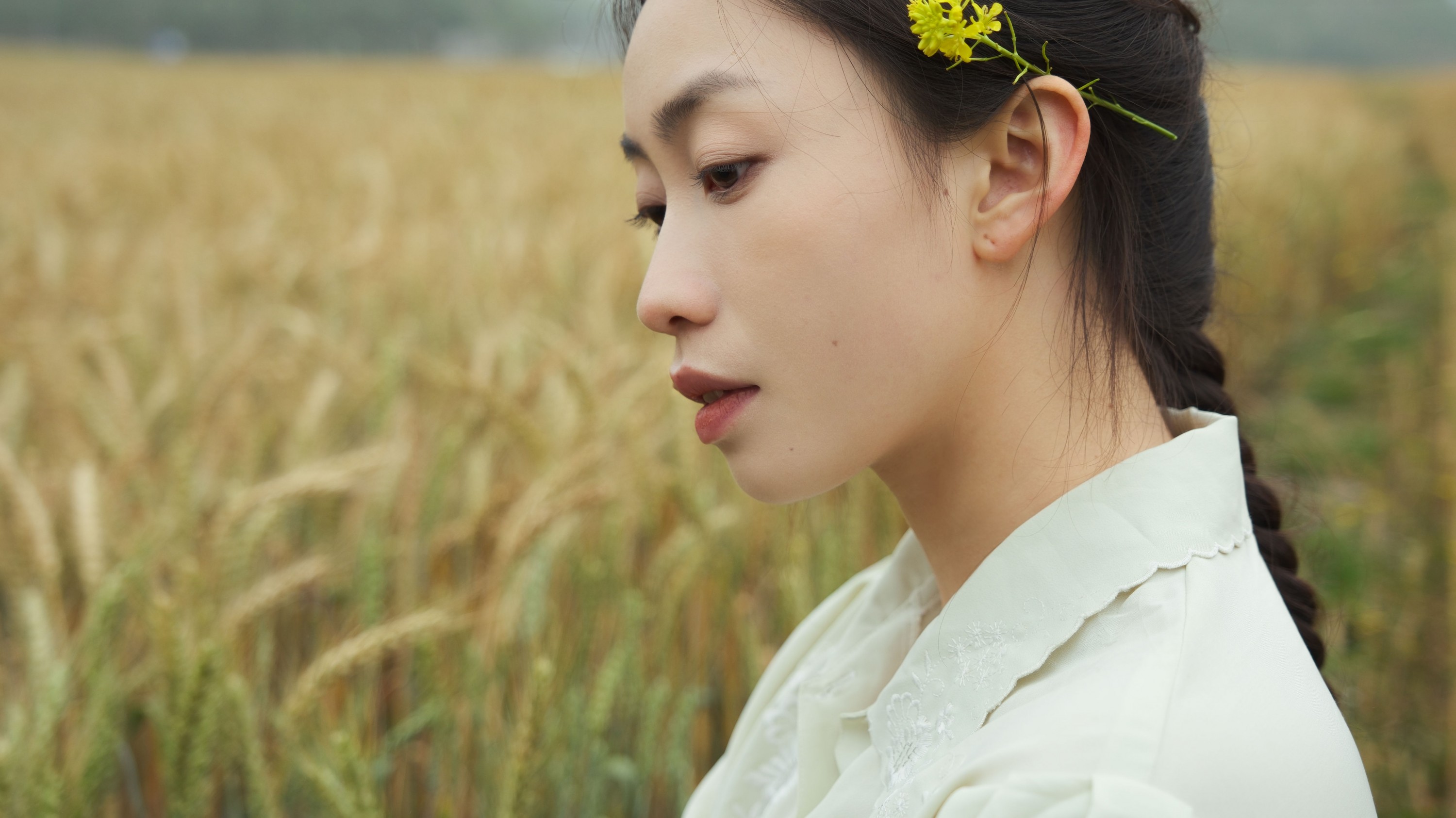 小张 – 《麦田的守望者》[21P]