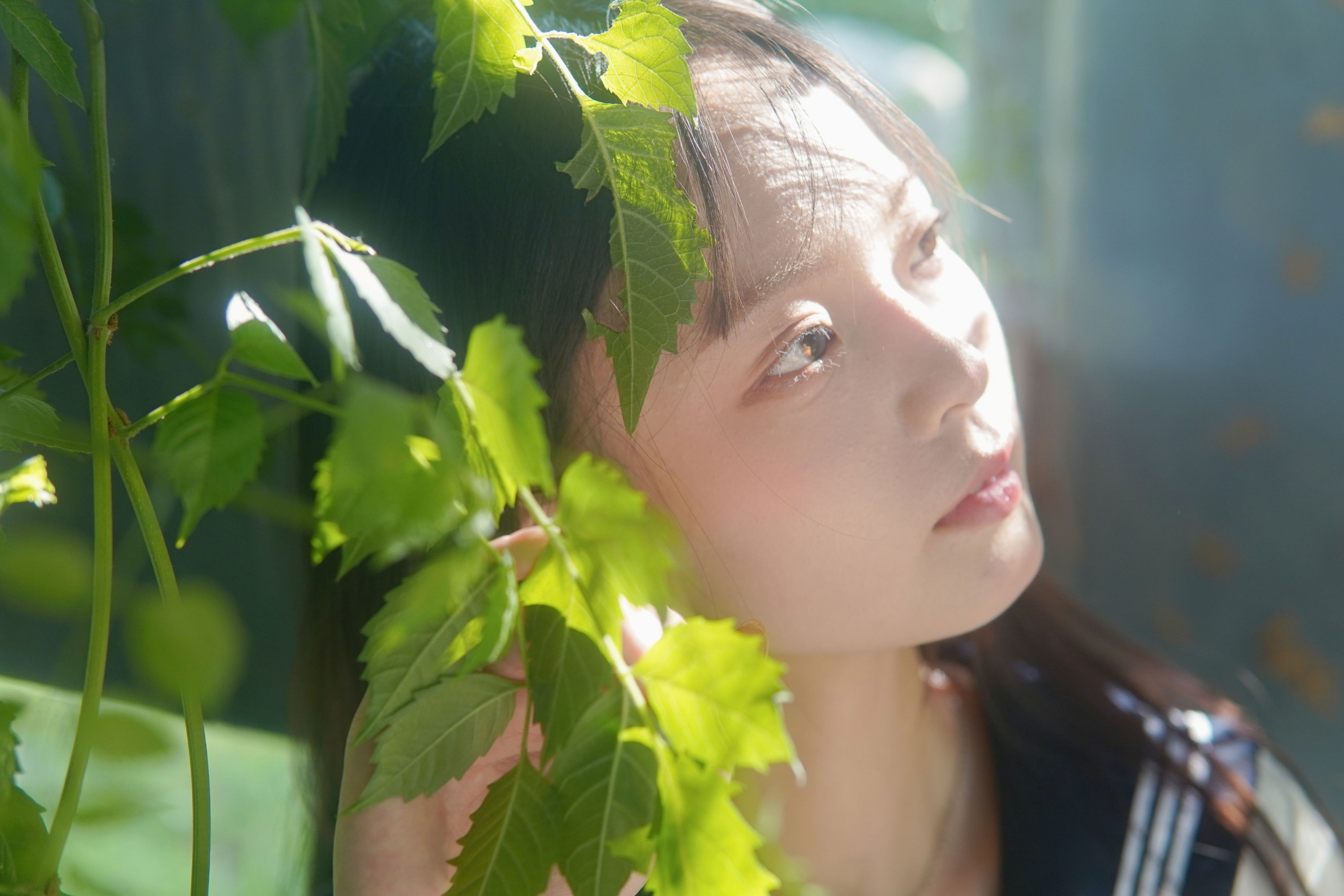 – 《凌霄花开》[12P]