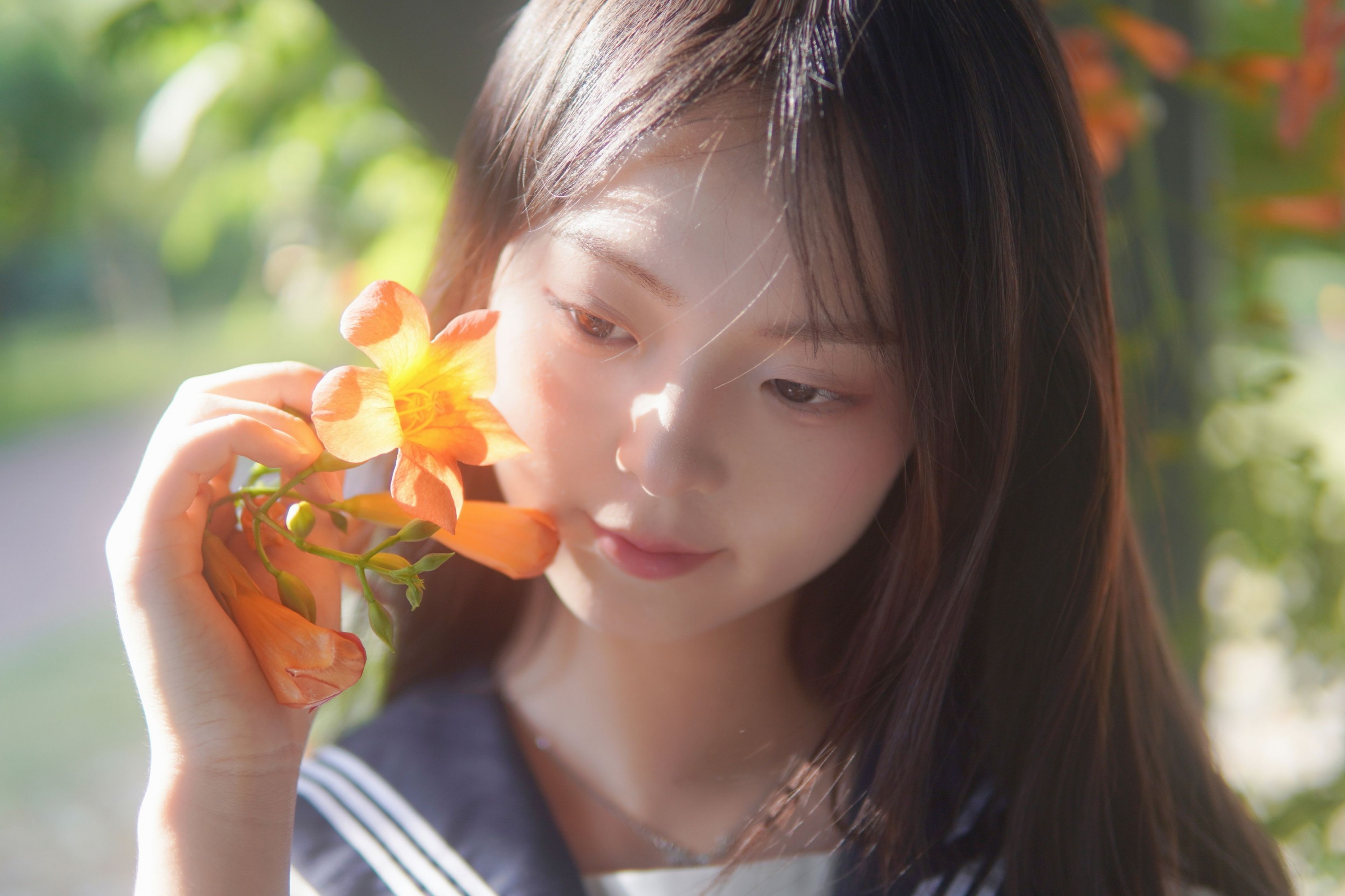 – 《凌霄花开》[12P]