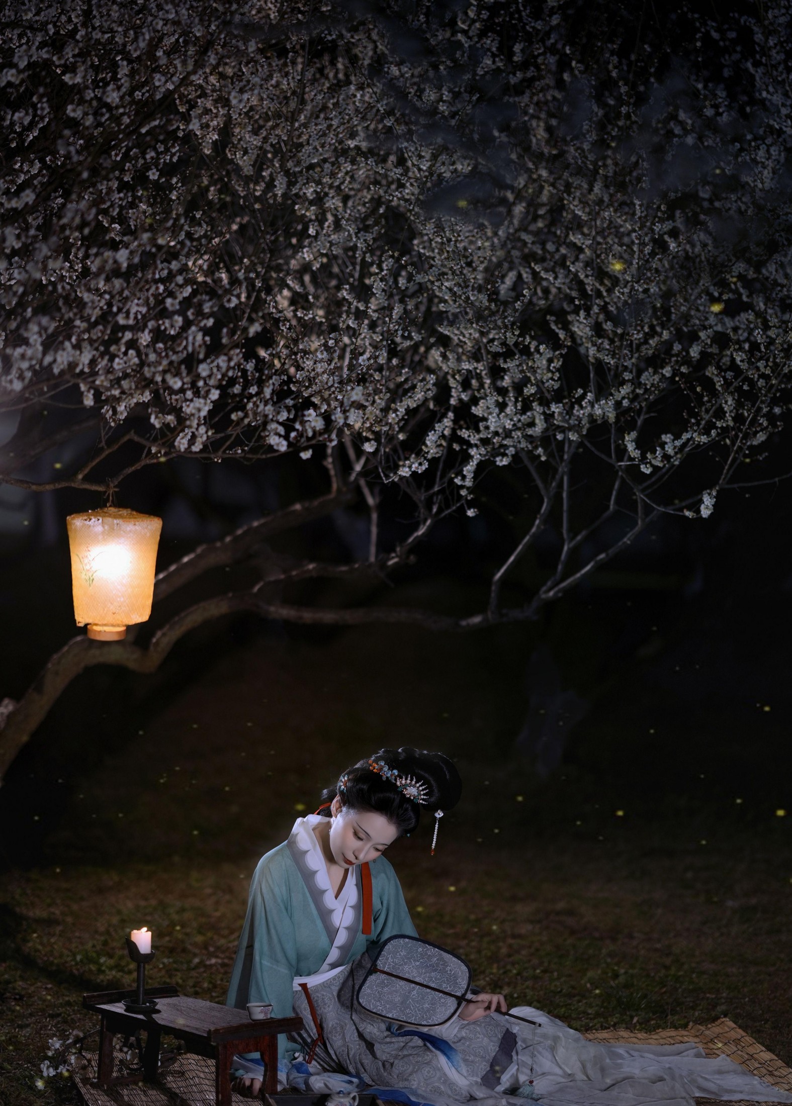 弥璎呀 – 《待月西厢下，疑是故人来》[13P]