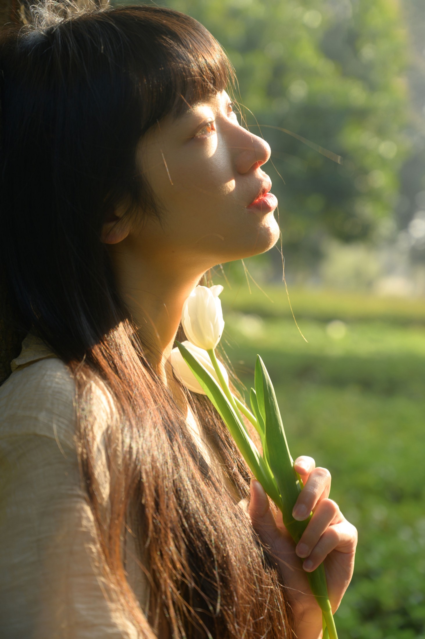 山野小果 – 《光与郁金香》[20P]