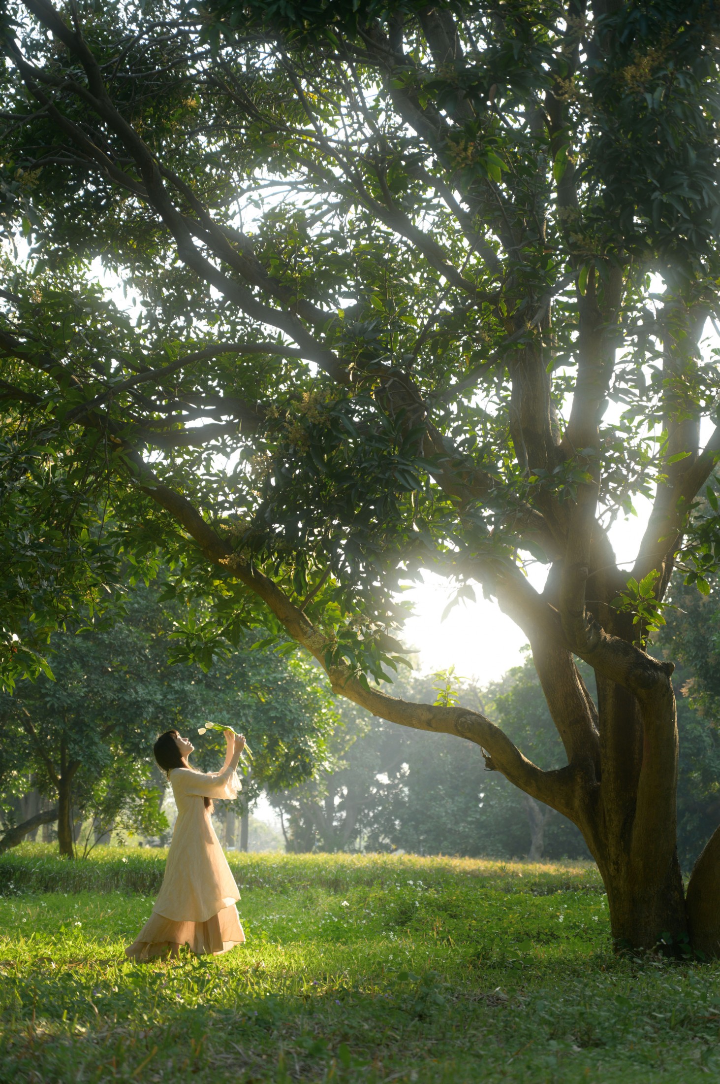 山野小果 – 《光与郁金香》[20P]