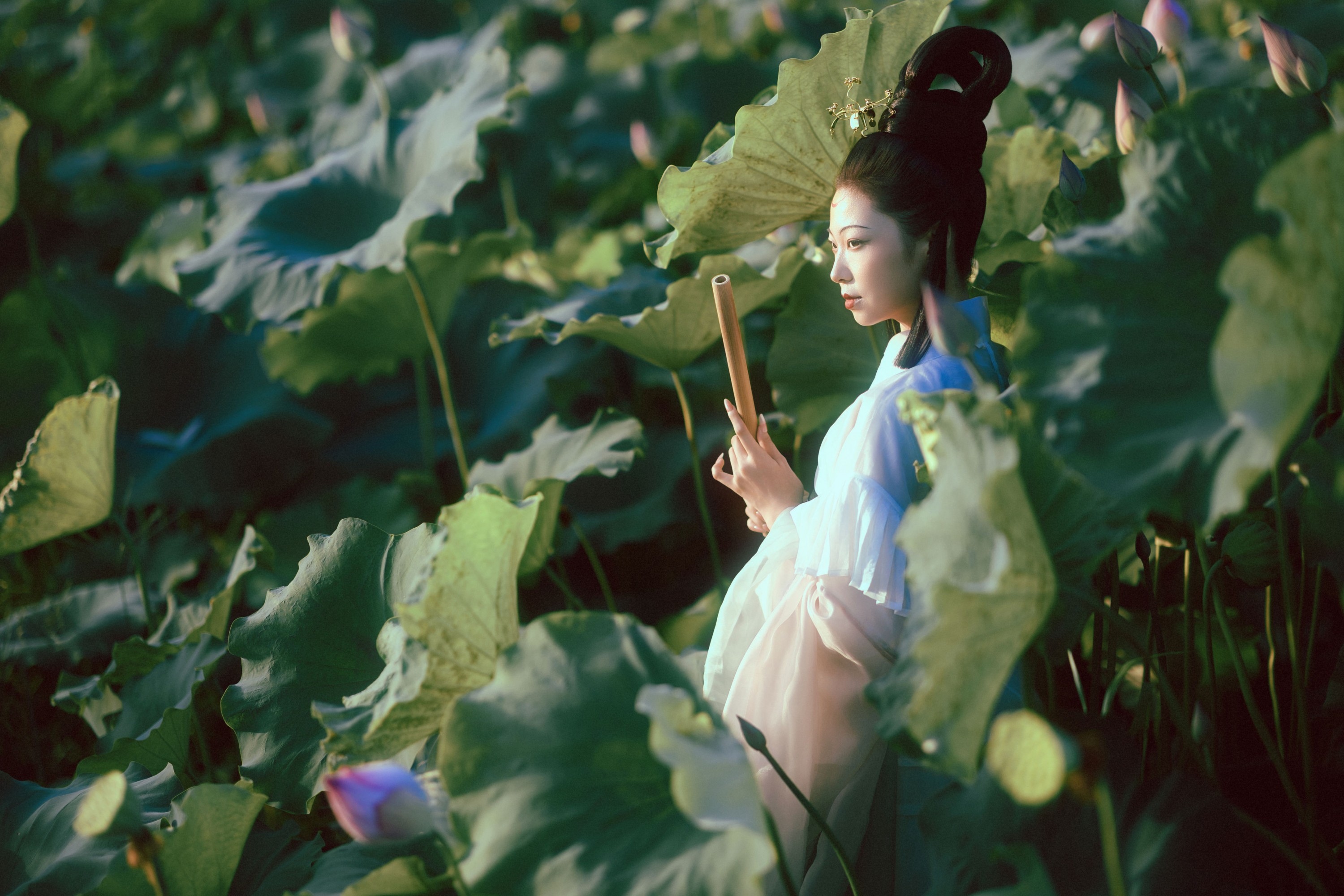 有有。 – 《晚荷》[37P] 插图5