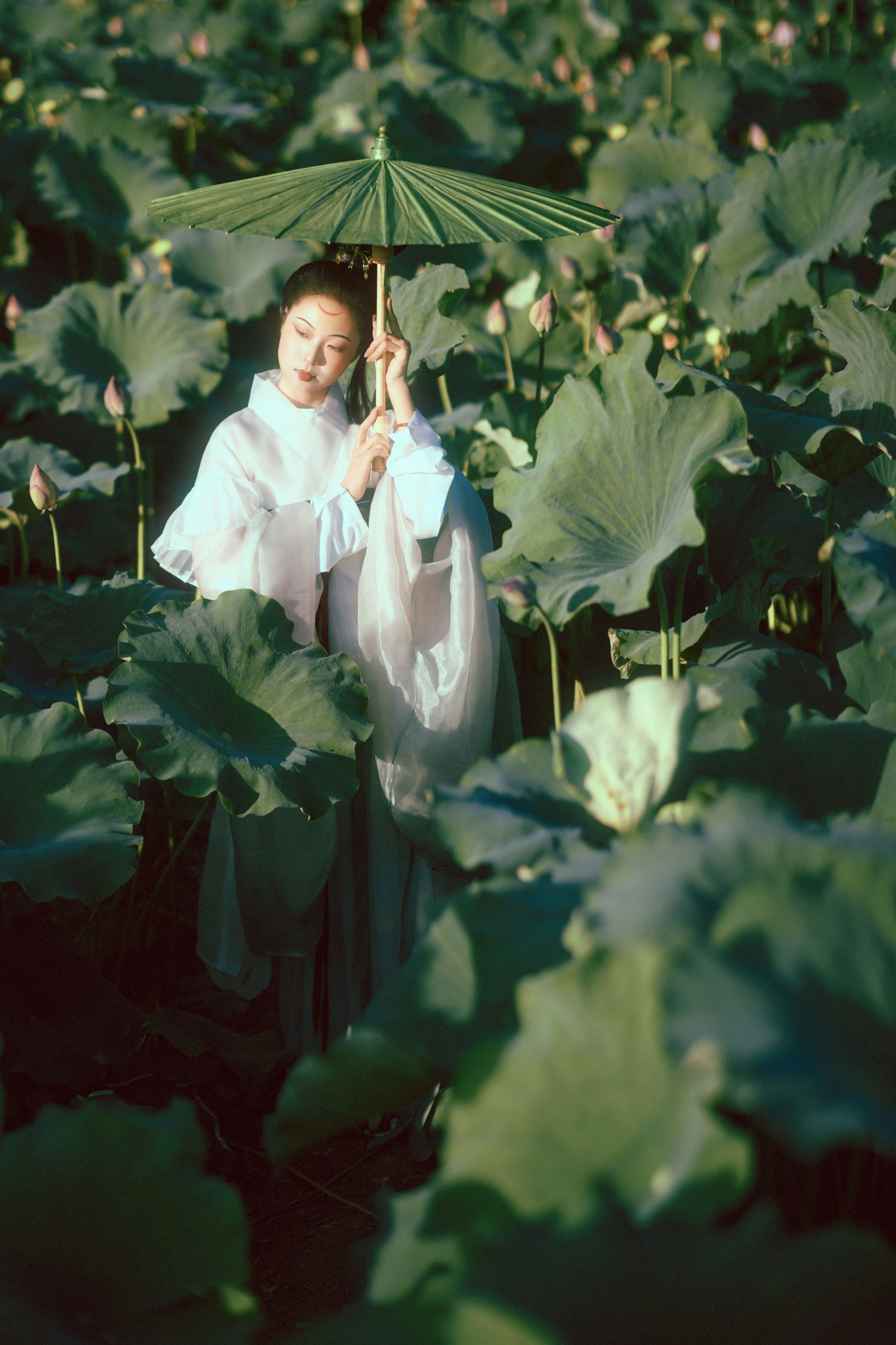 有有。 – 《晚荷》[37P]