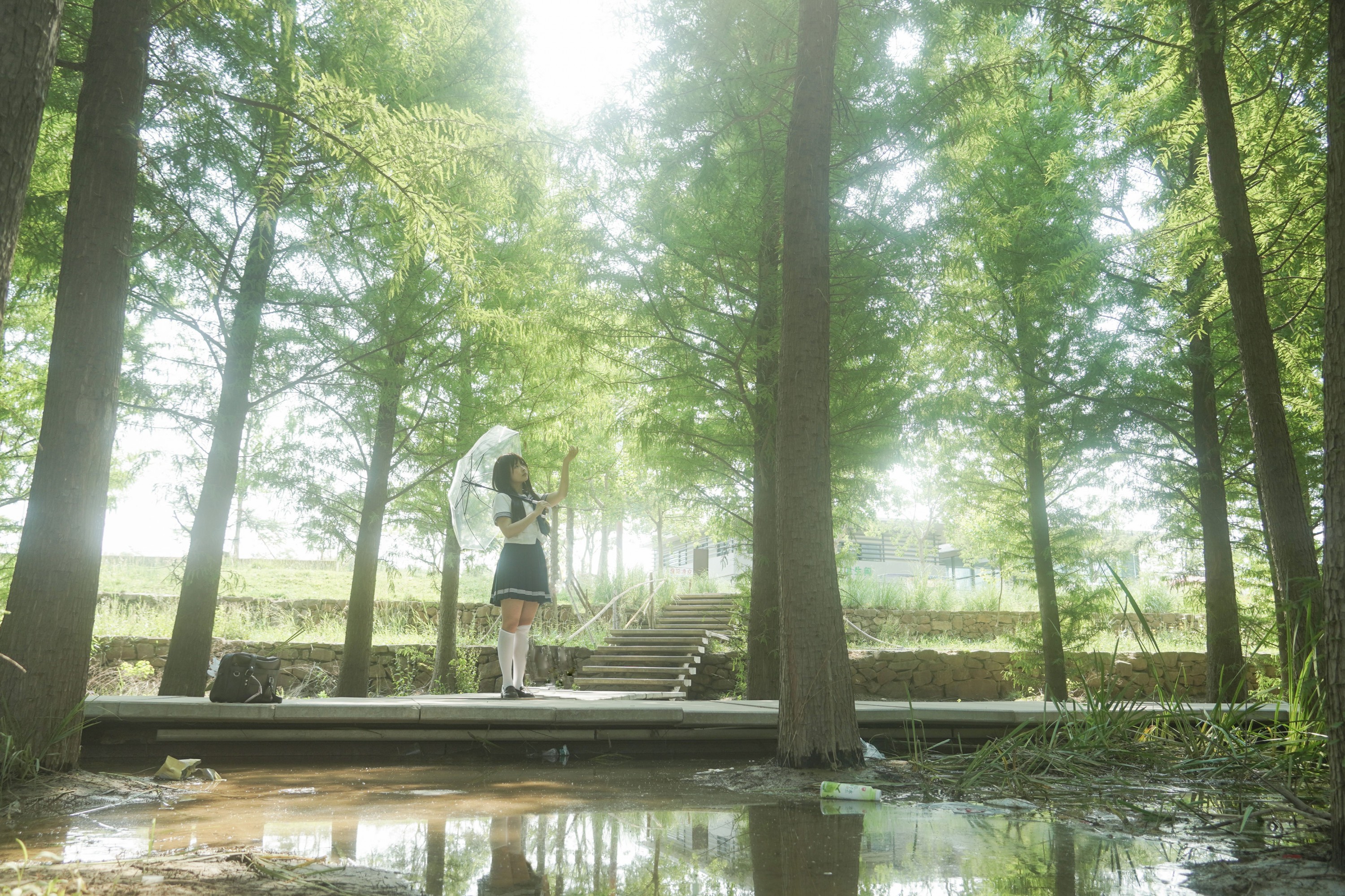 – 《树是另一种形式的海》[11P]