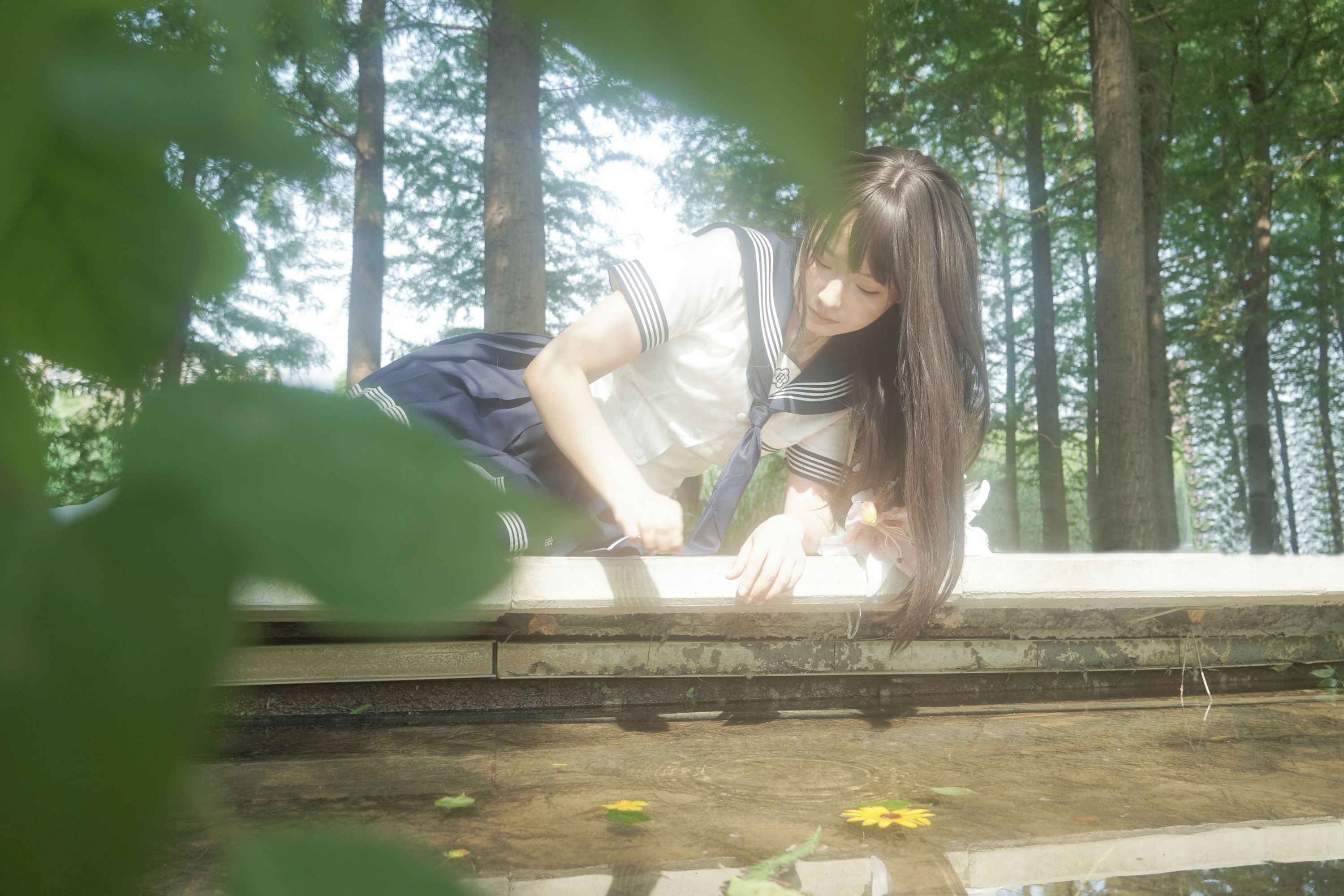 – 《树是另一种形式的海》[11P]