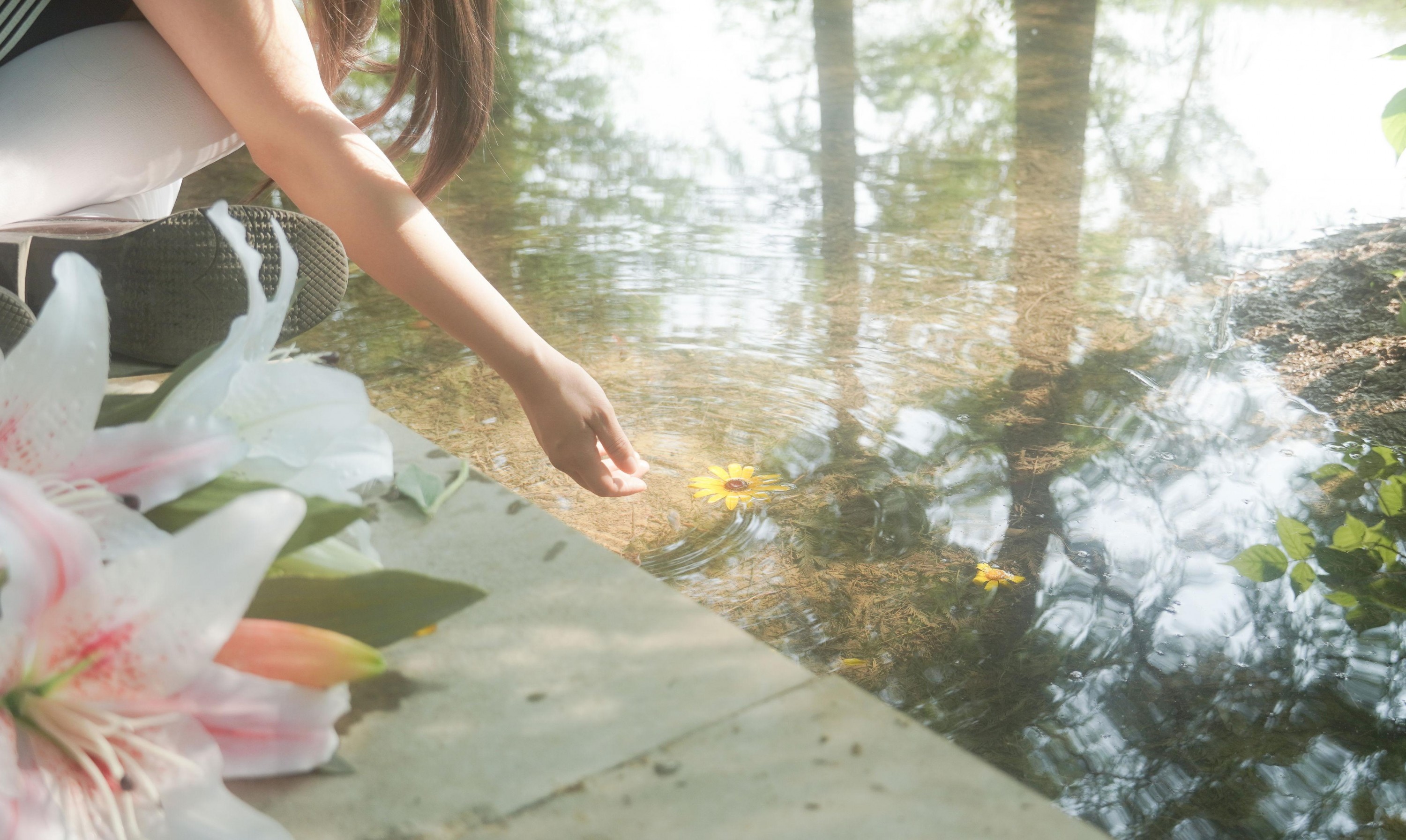 – 《树是另一种形式的海》[11P]