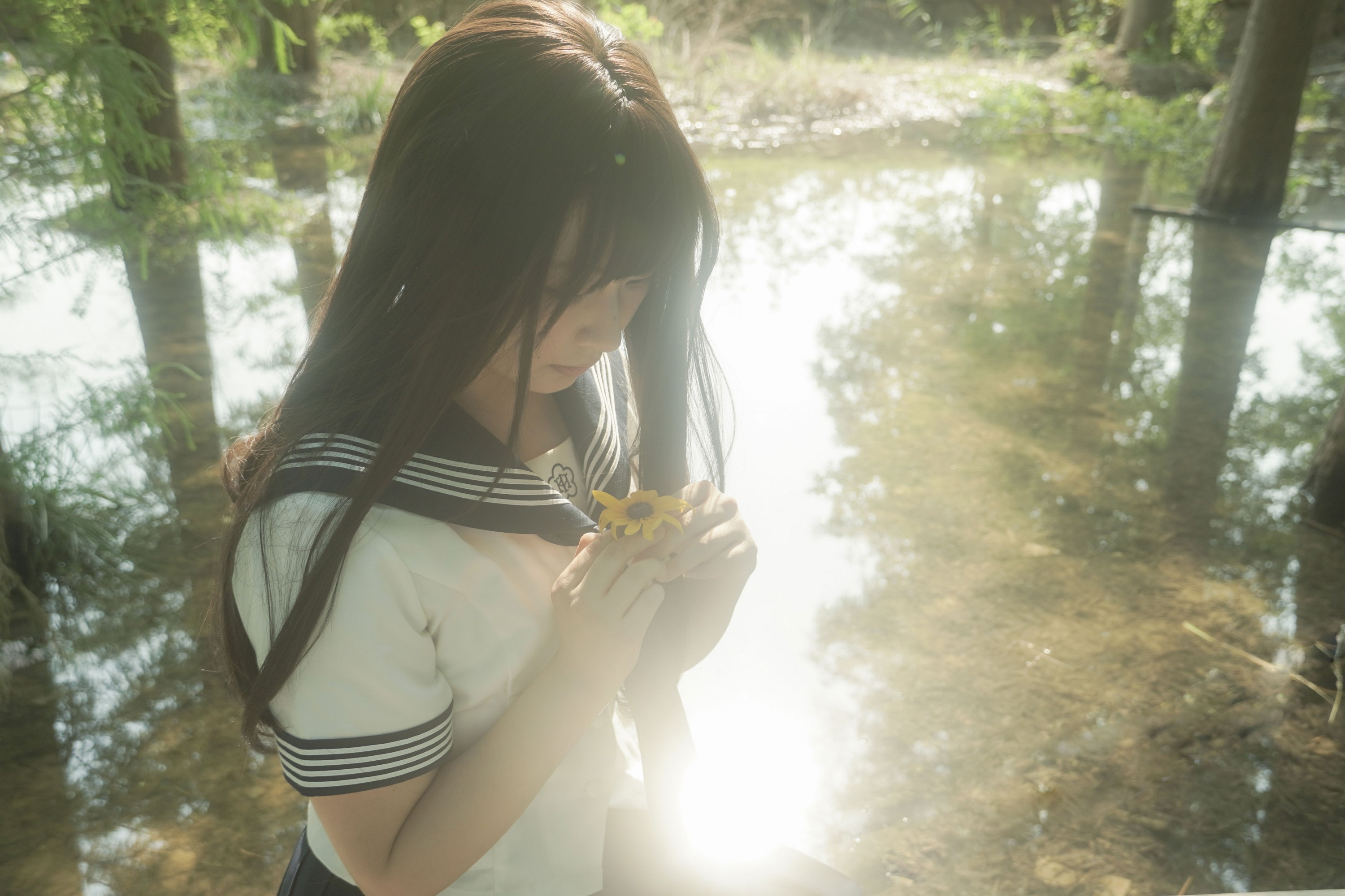 – 《树是另一种形式的海》[11P]