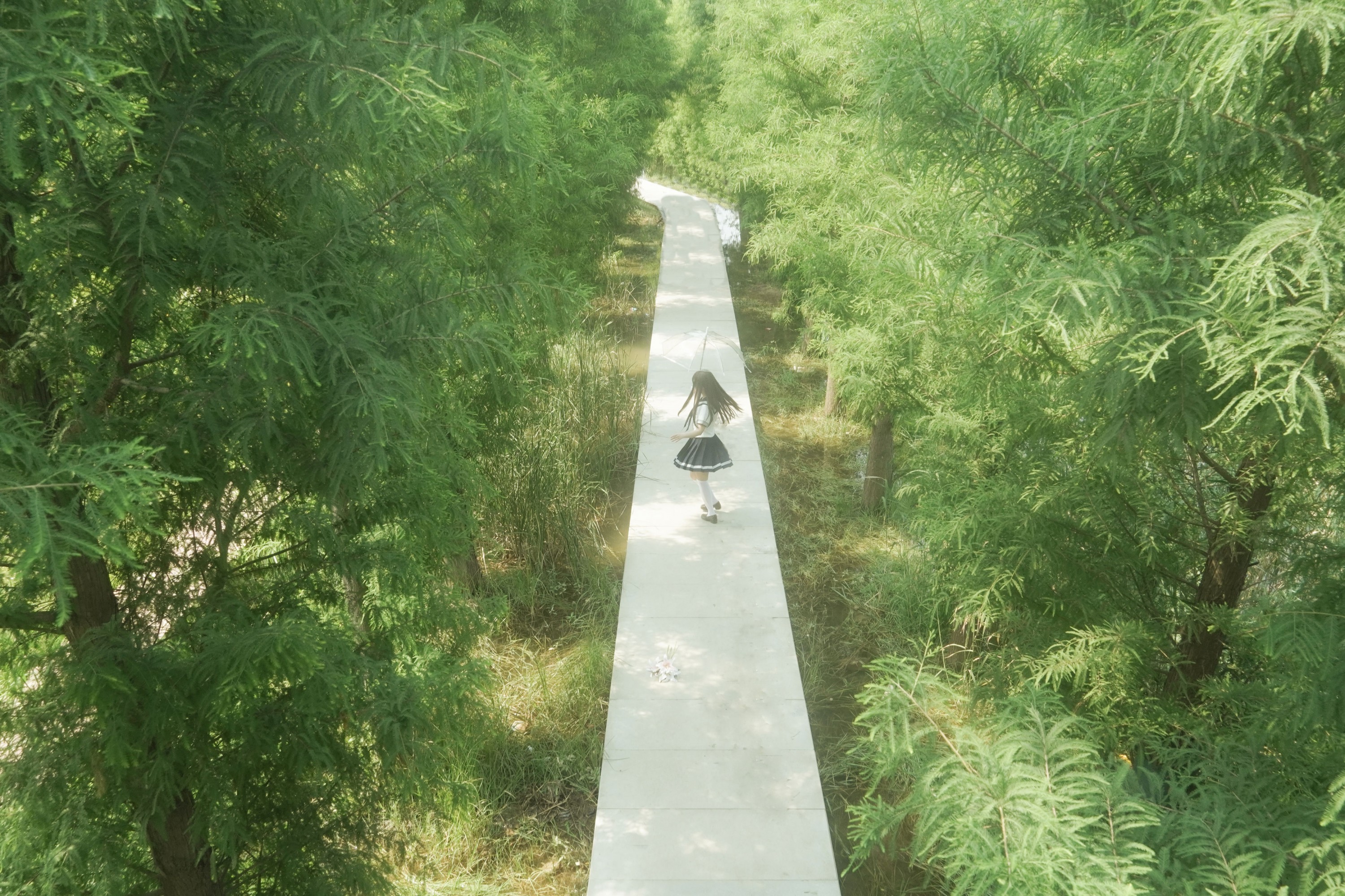 – 《树是另一种形式的海》[11P]