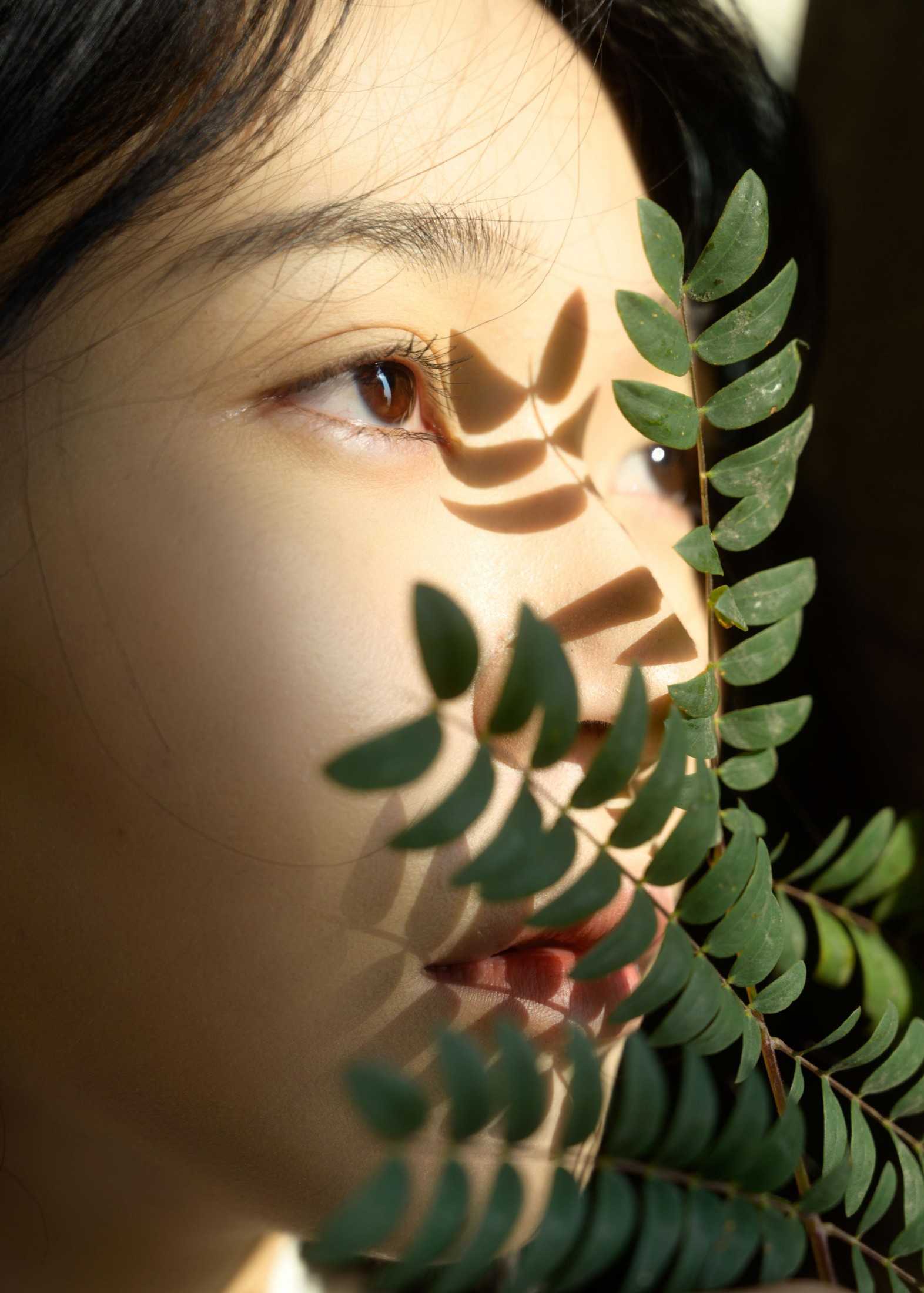 米饭 – 《海边的房子》[21P]